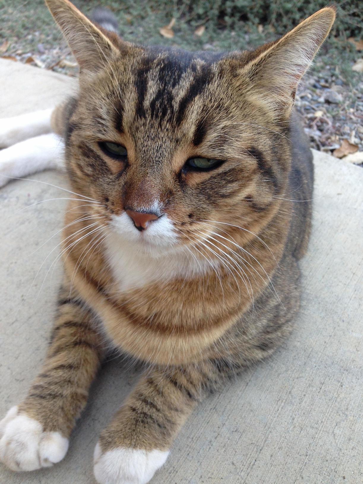 Unamused
