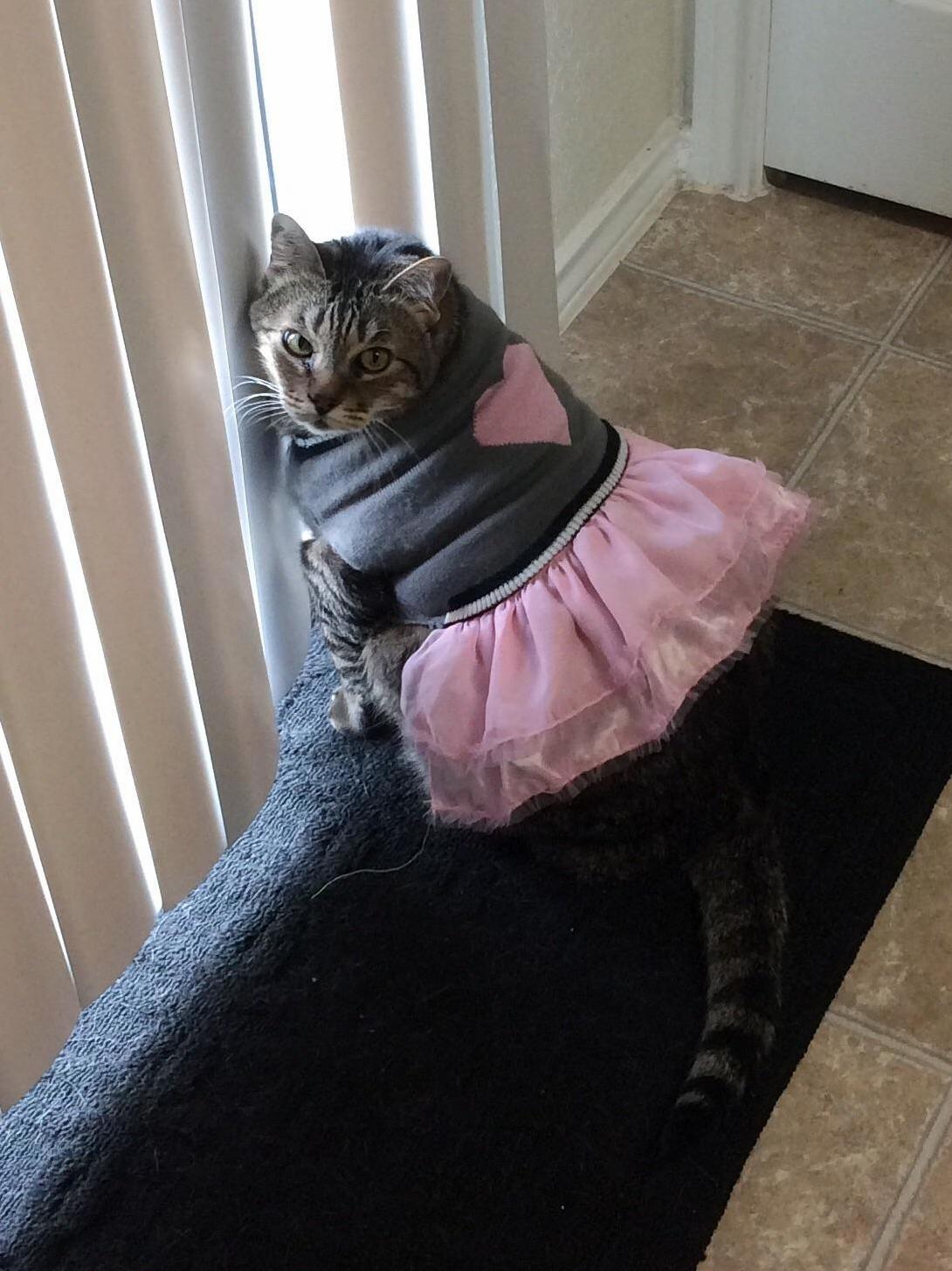 Waiting for Her Prom Date