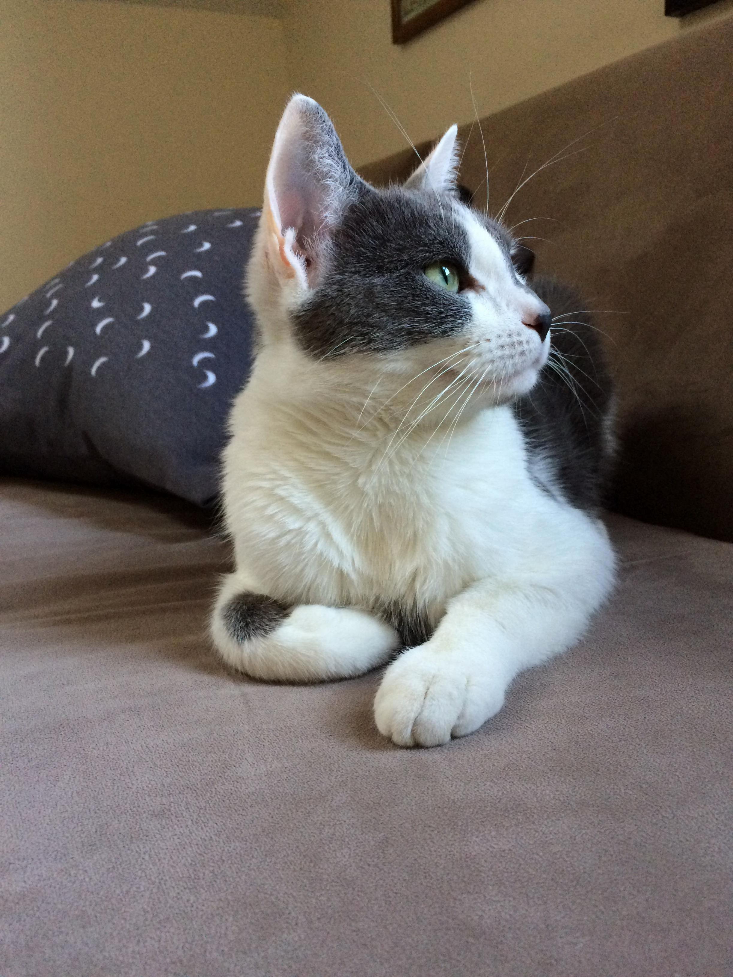 What Are You Daydreaming About Maggie