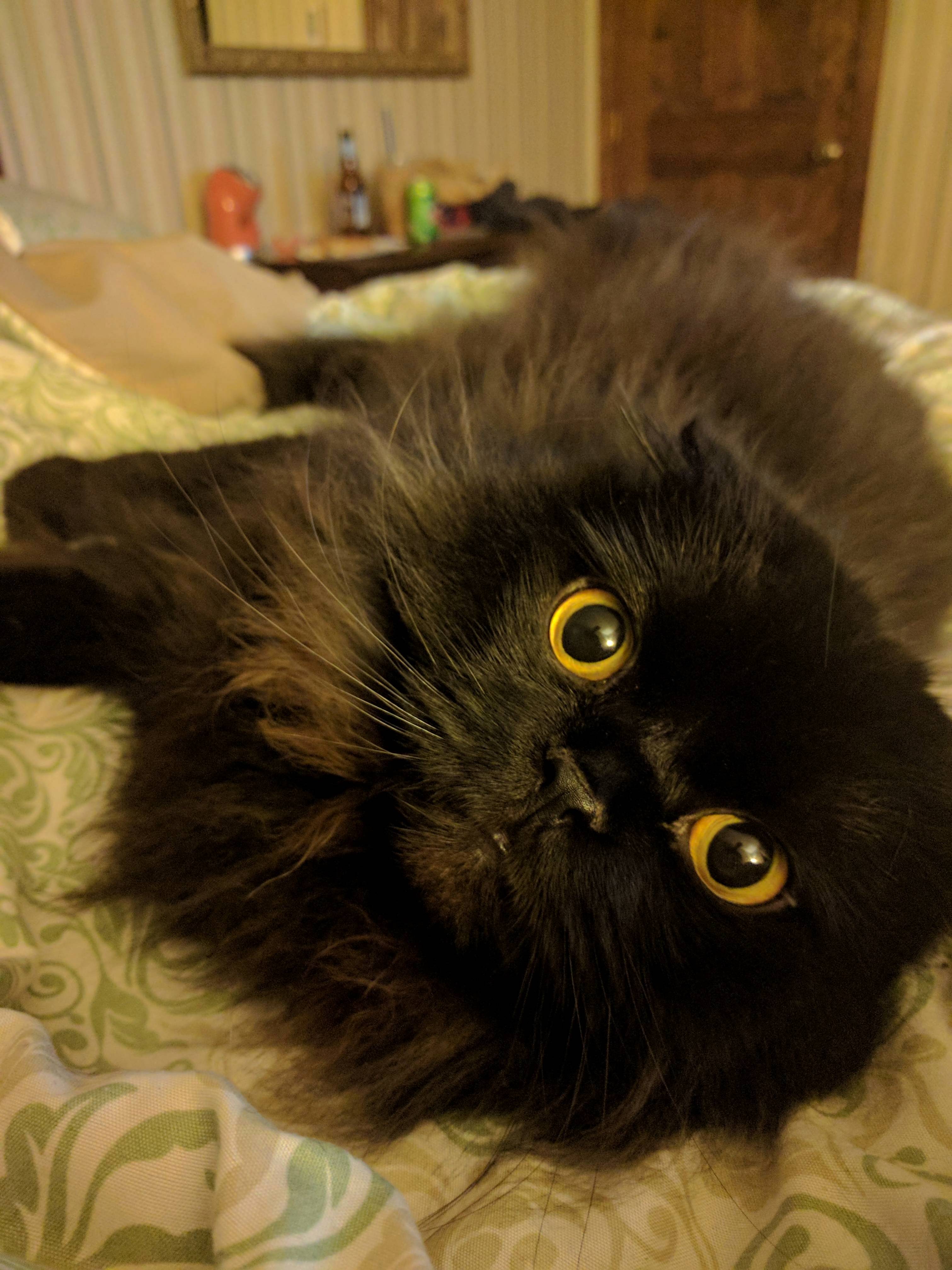 What Are You Lookin at