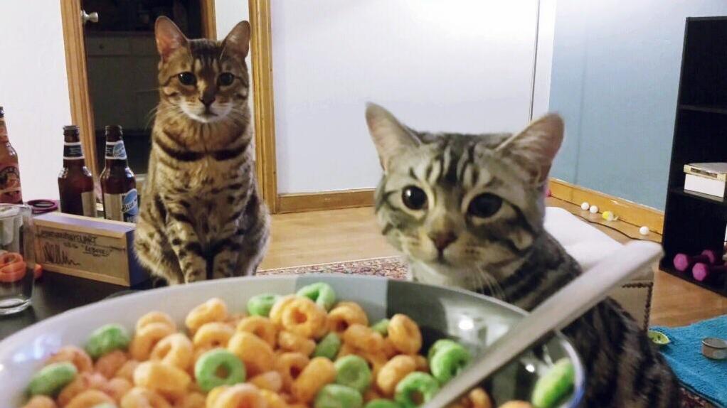 What Chu Doing