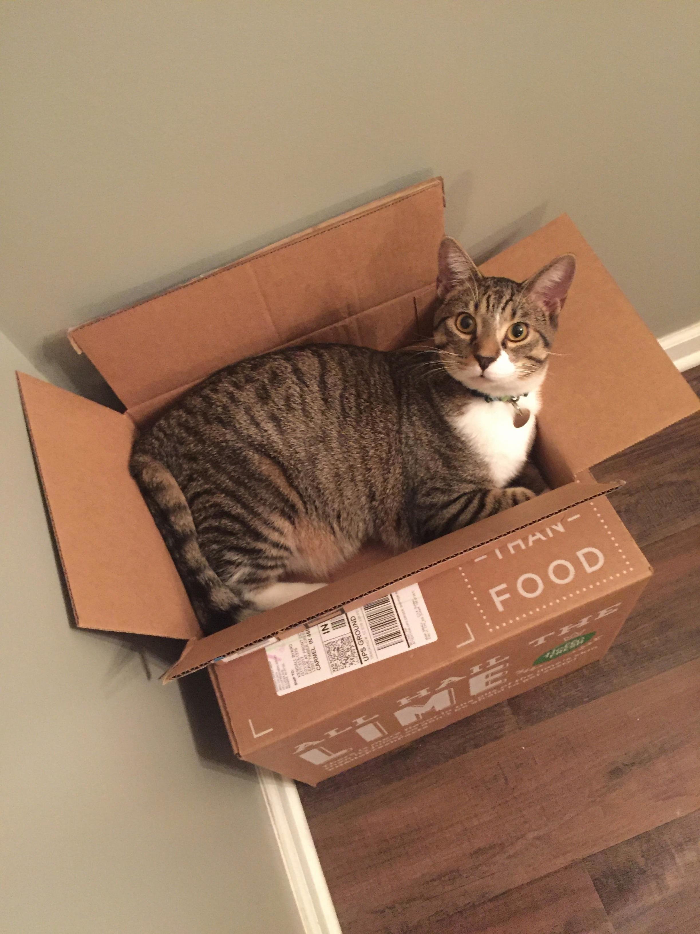 What I Fits.