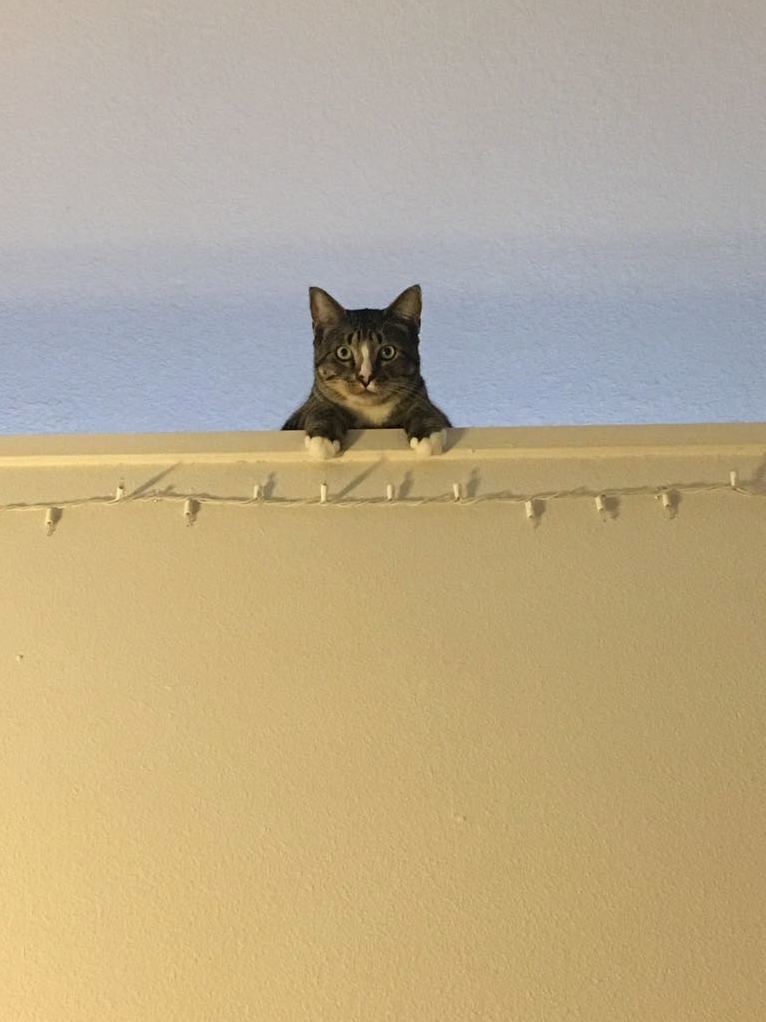 When He Hears Me Come Home from Work