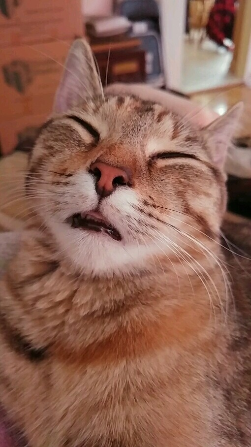 When You Find the Right Spot..