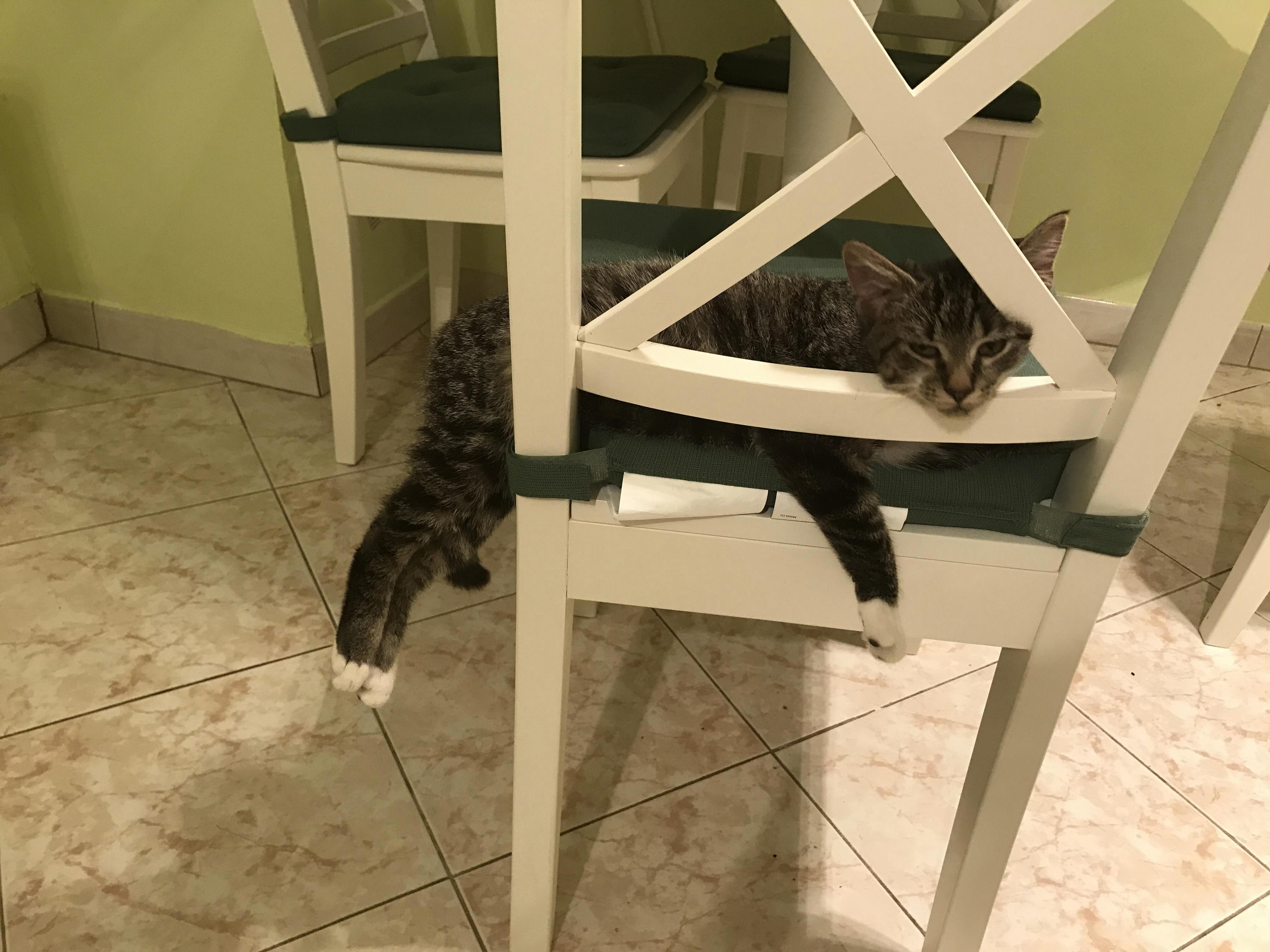 When You Forget How to Chair