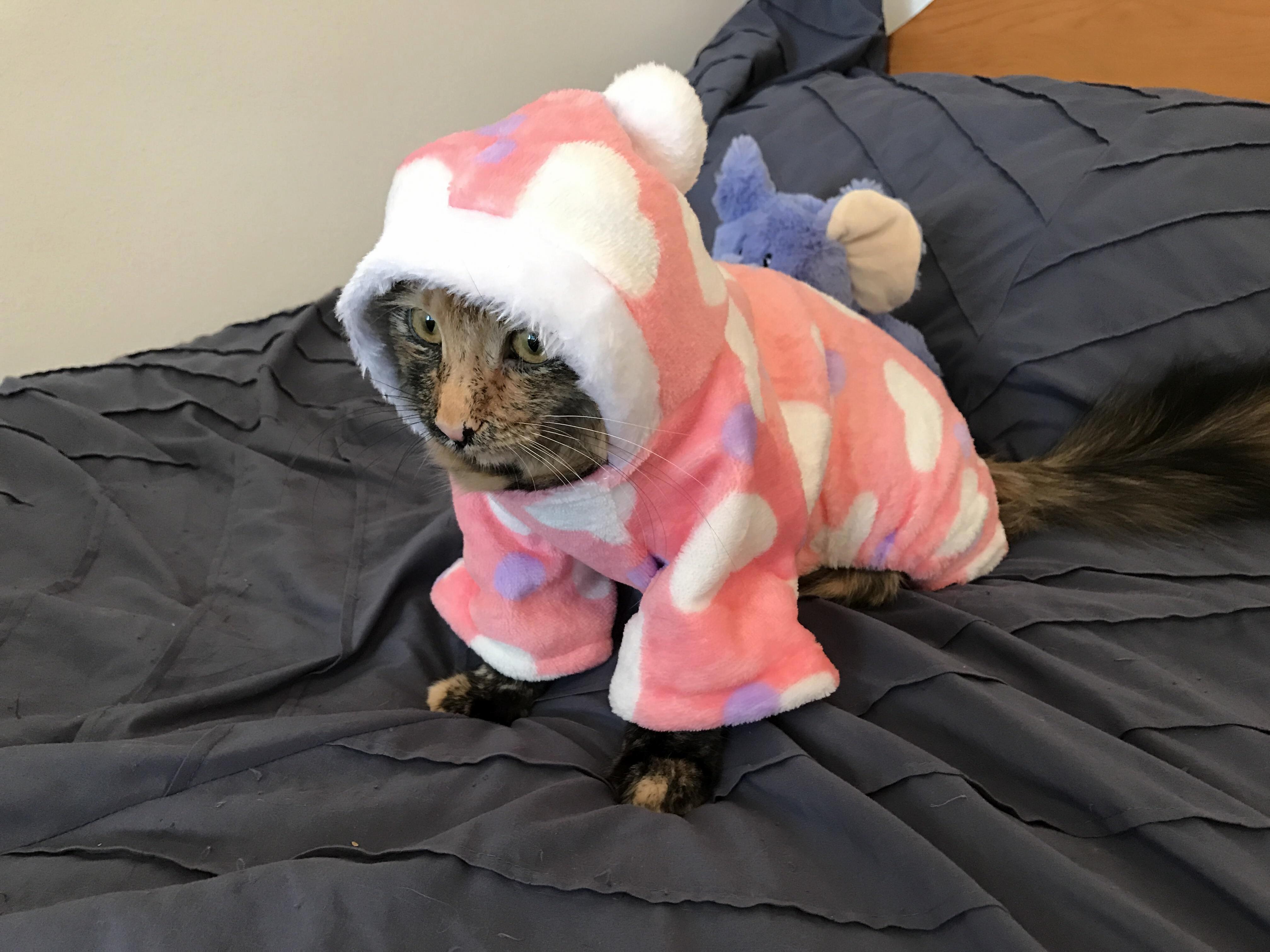 When Your Cold Winter Night Outfit Arrives After the Cold Winter Has Ended.