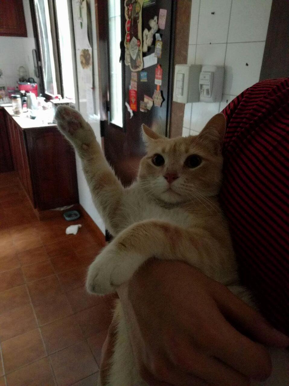 Who Wants Some Tuna