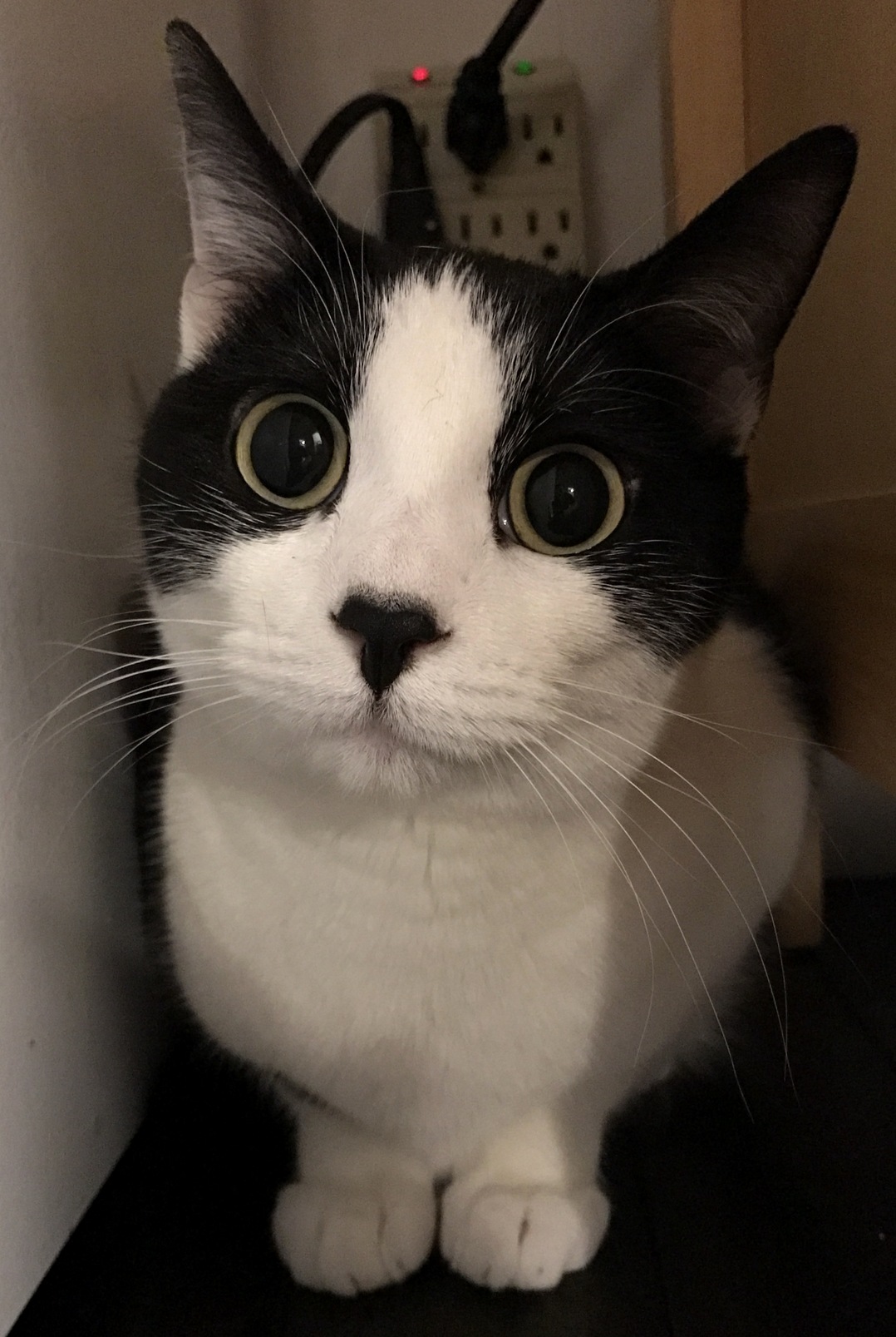 You Found My Super Secret Hiding Spot