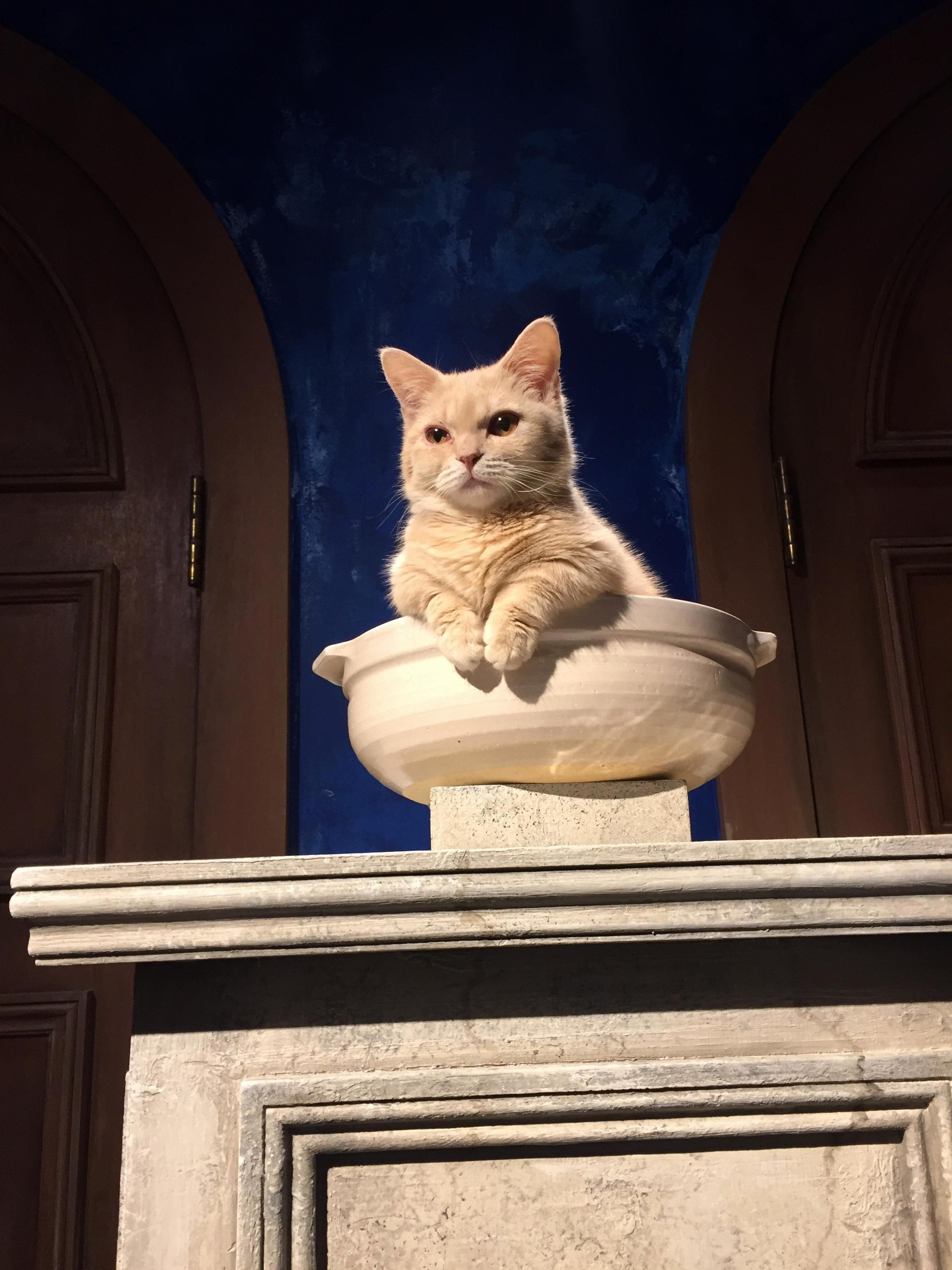 You May Approach the Throne Peasant