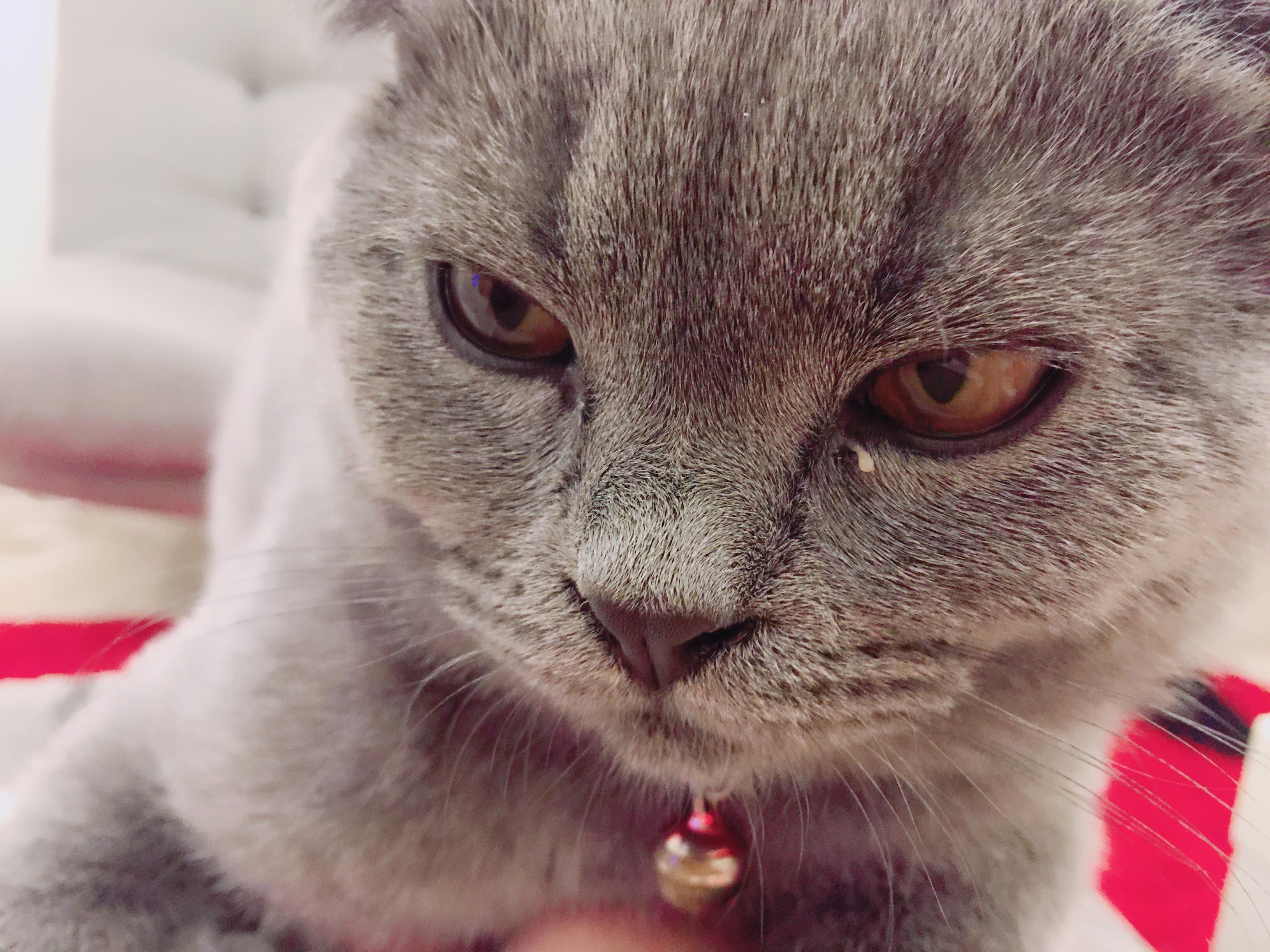You Were Gone for Two Days and This Is My I Expect an Apology Face. - Einstein