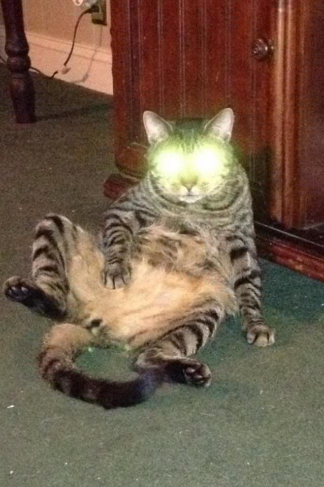 Bailey Went Full Lasers Mid-bath