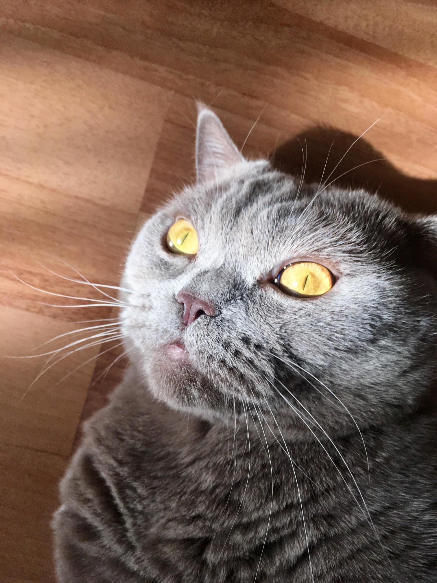 Daydreaming