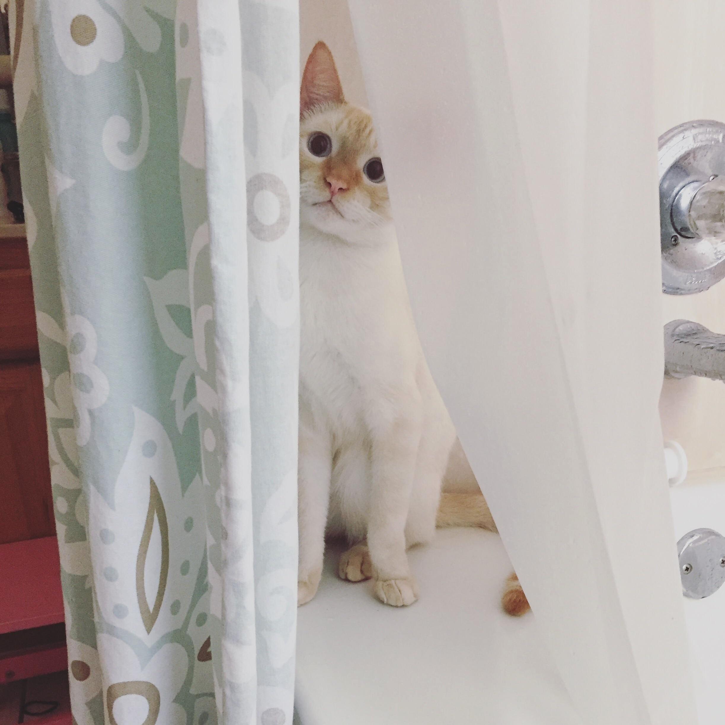 Eminem Is Obsessed with the Bath Tub.