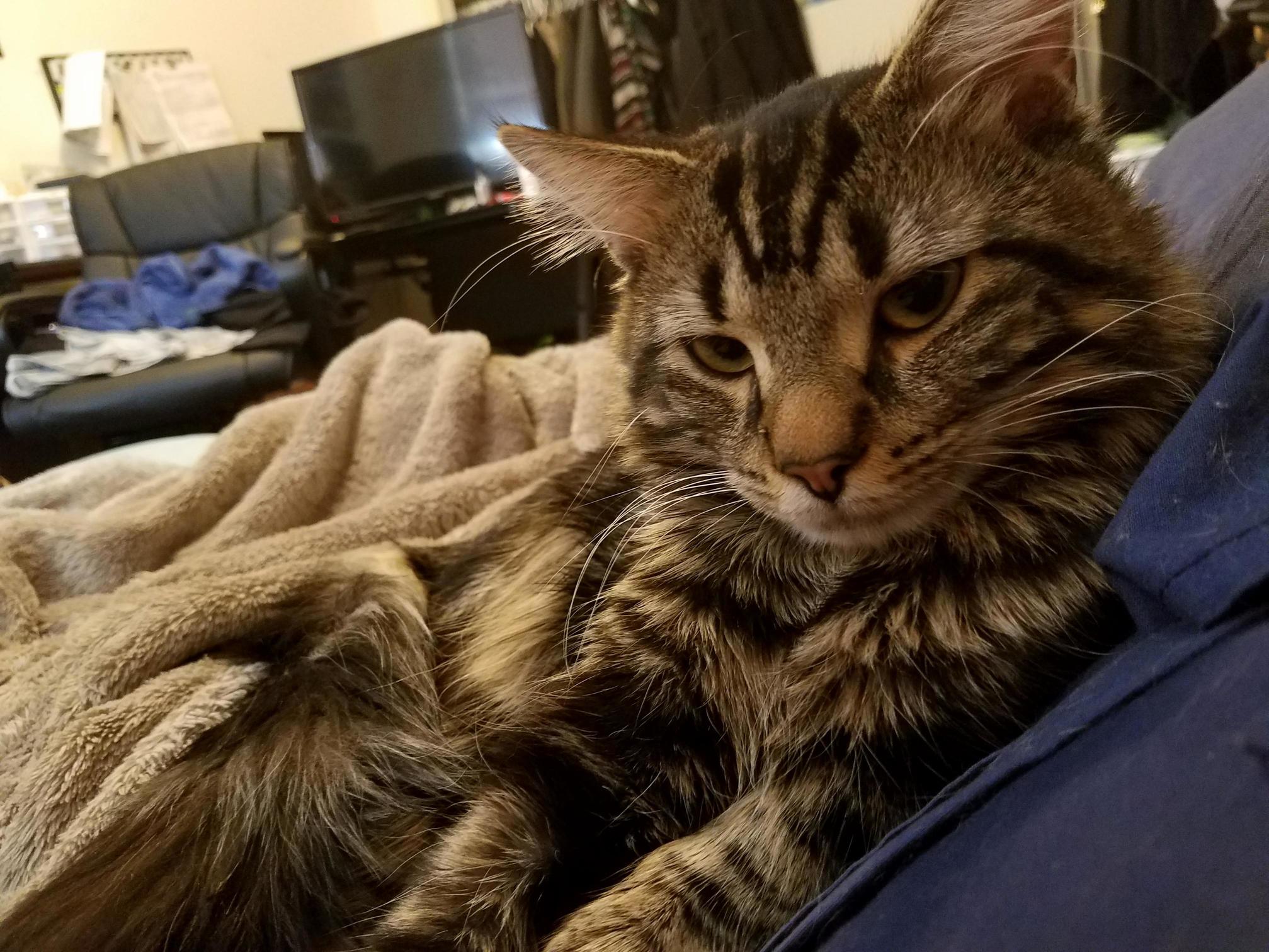Fell Asleep Next to My Girlfriend Woke Up to This
