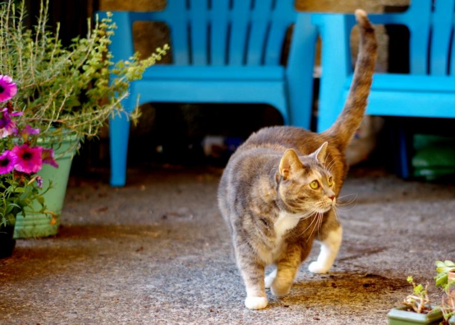 Gabby the Mighty Bug Huntress