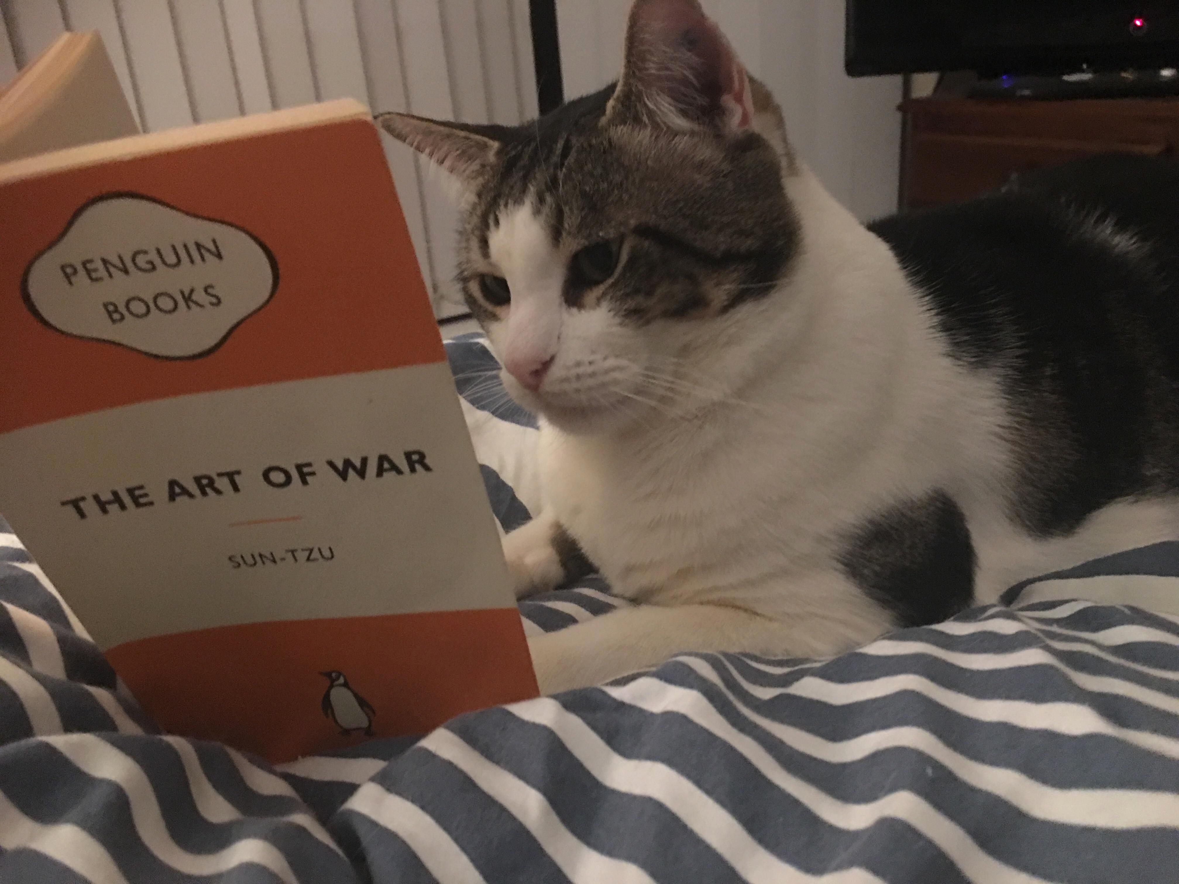 I Think Gaston Might Be Planning Something.
