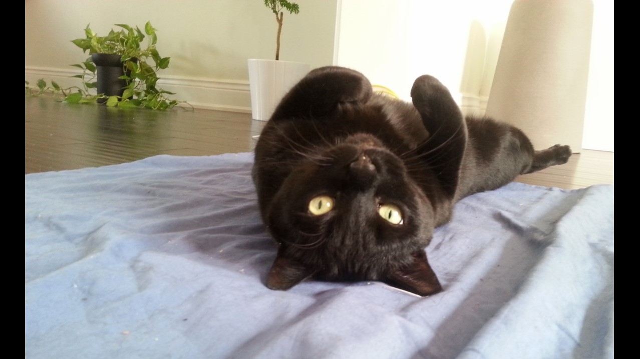 I Wonder What He Is Looking at All the Time. Upside Down World.