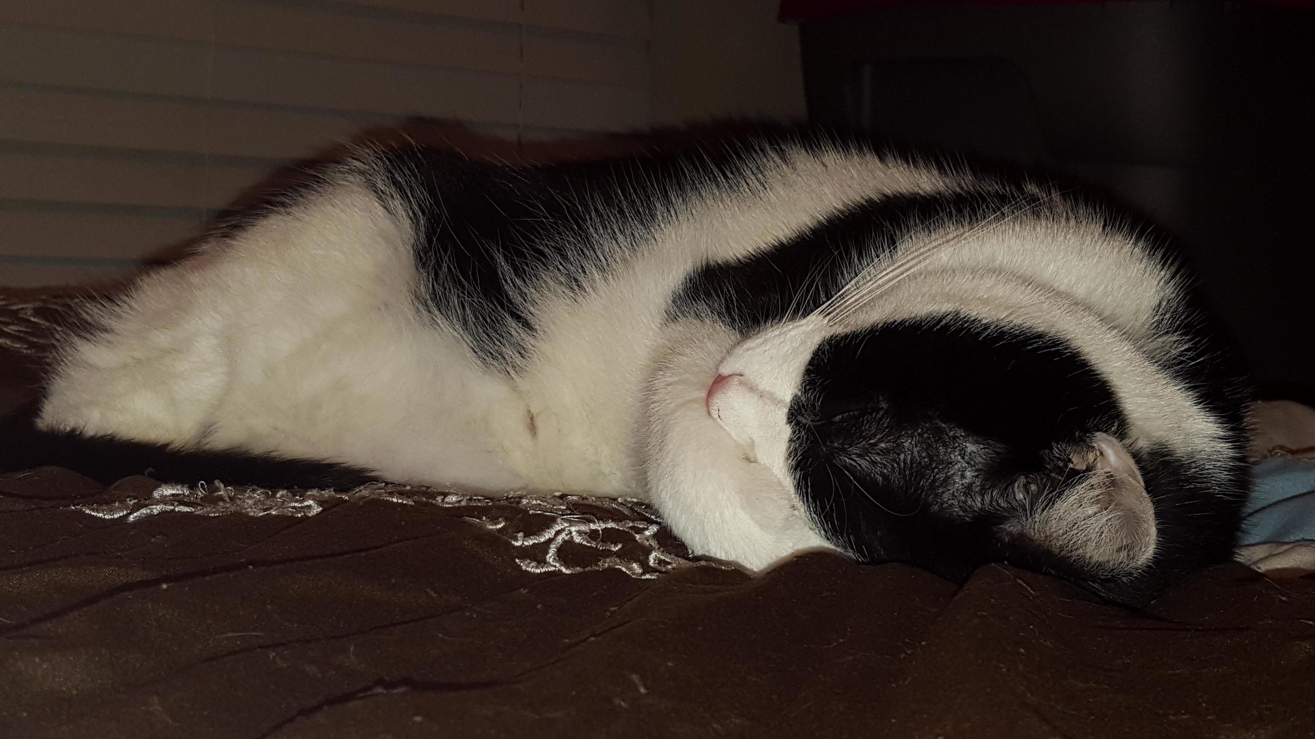 Its Been a Long Day