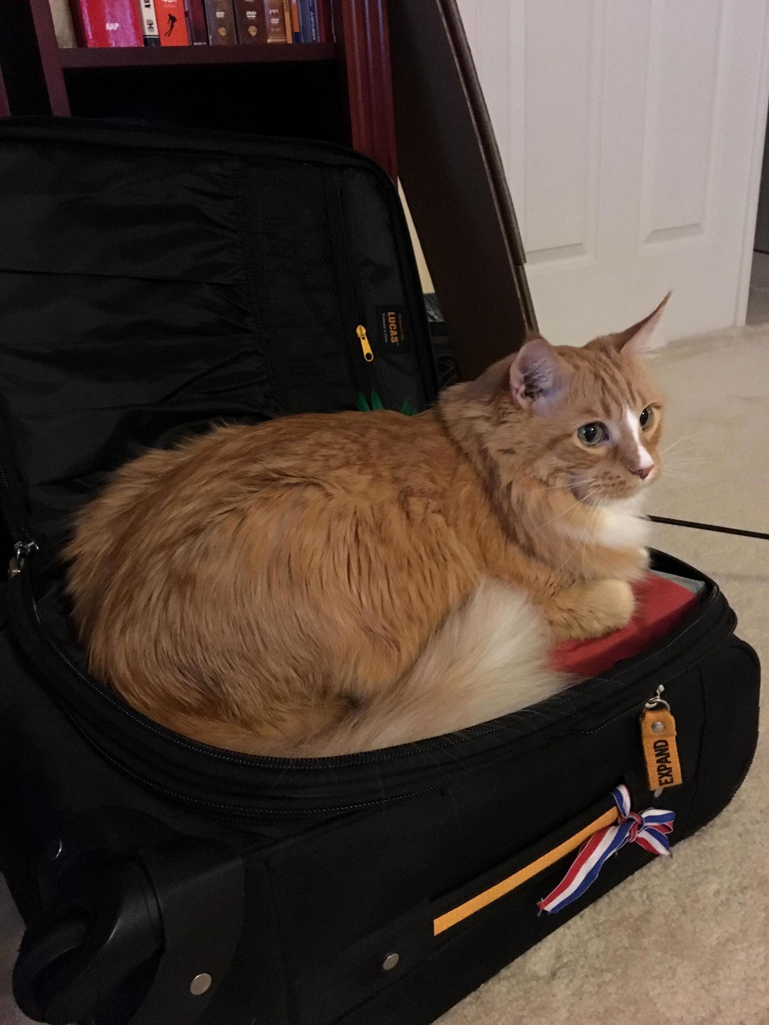 Less Than a Month Until Coming Home to This Guy Again