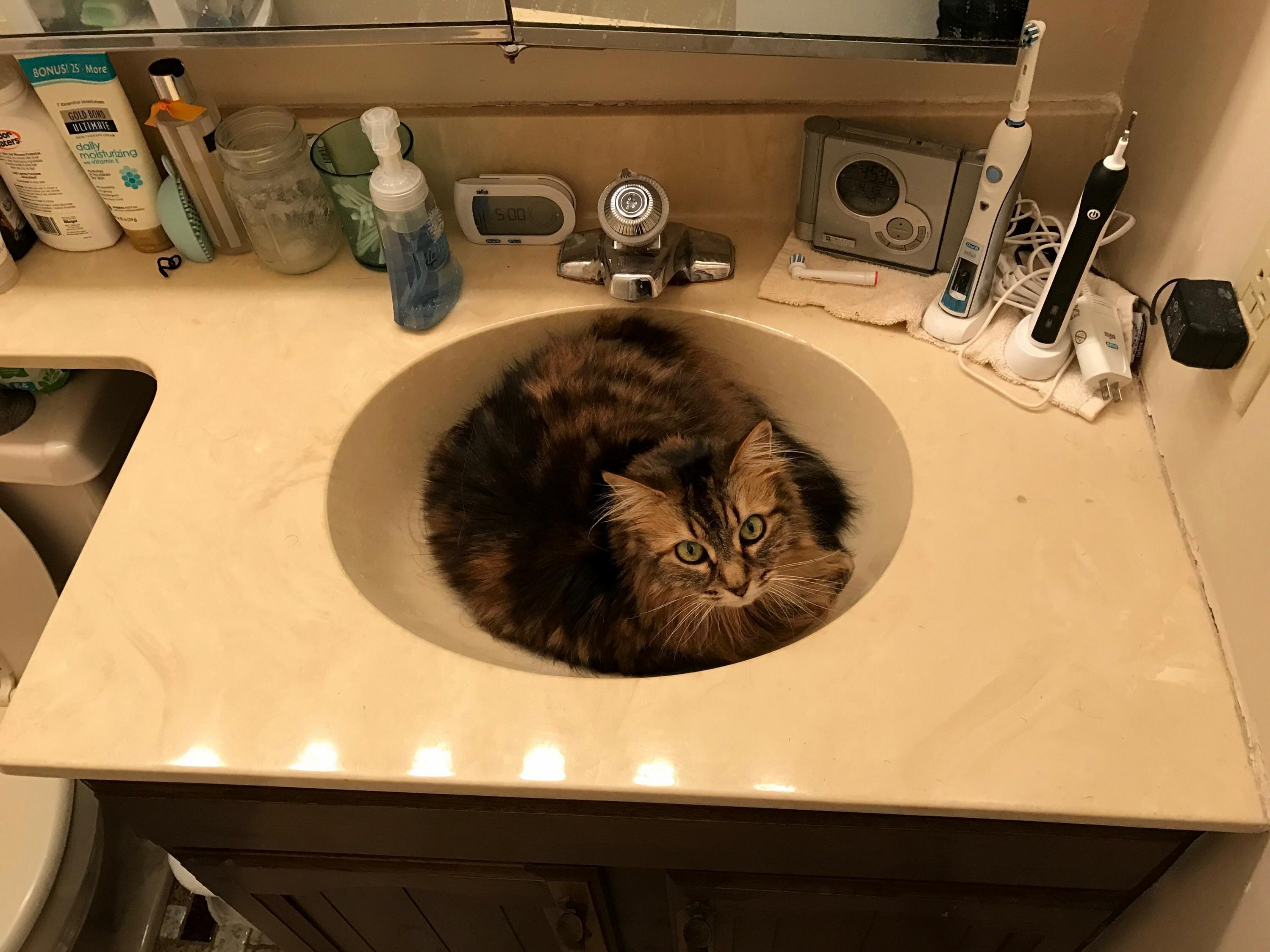 My Sink Wont Drain