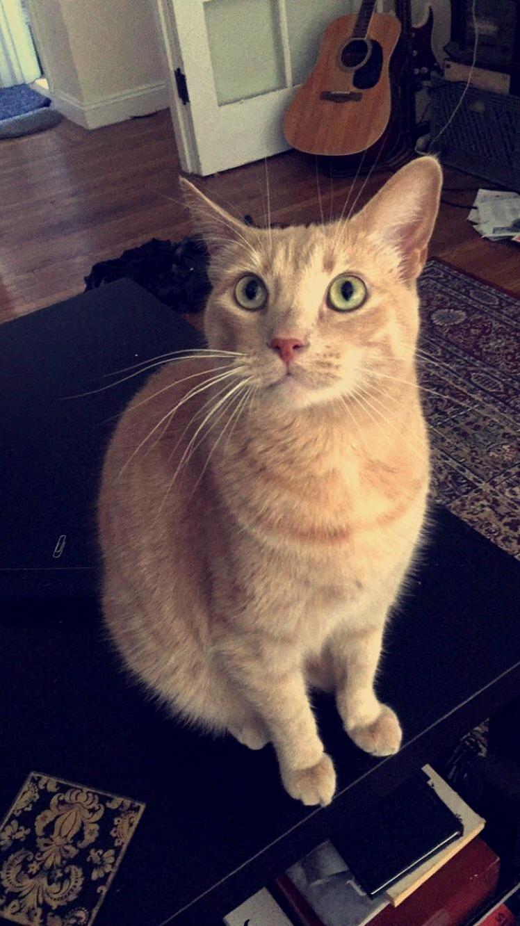 My Zoe