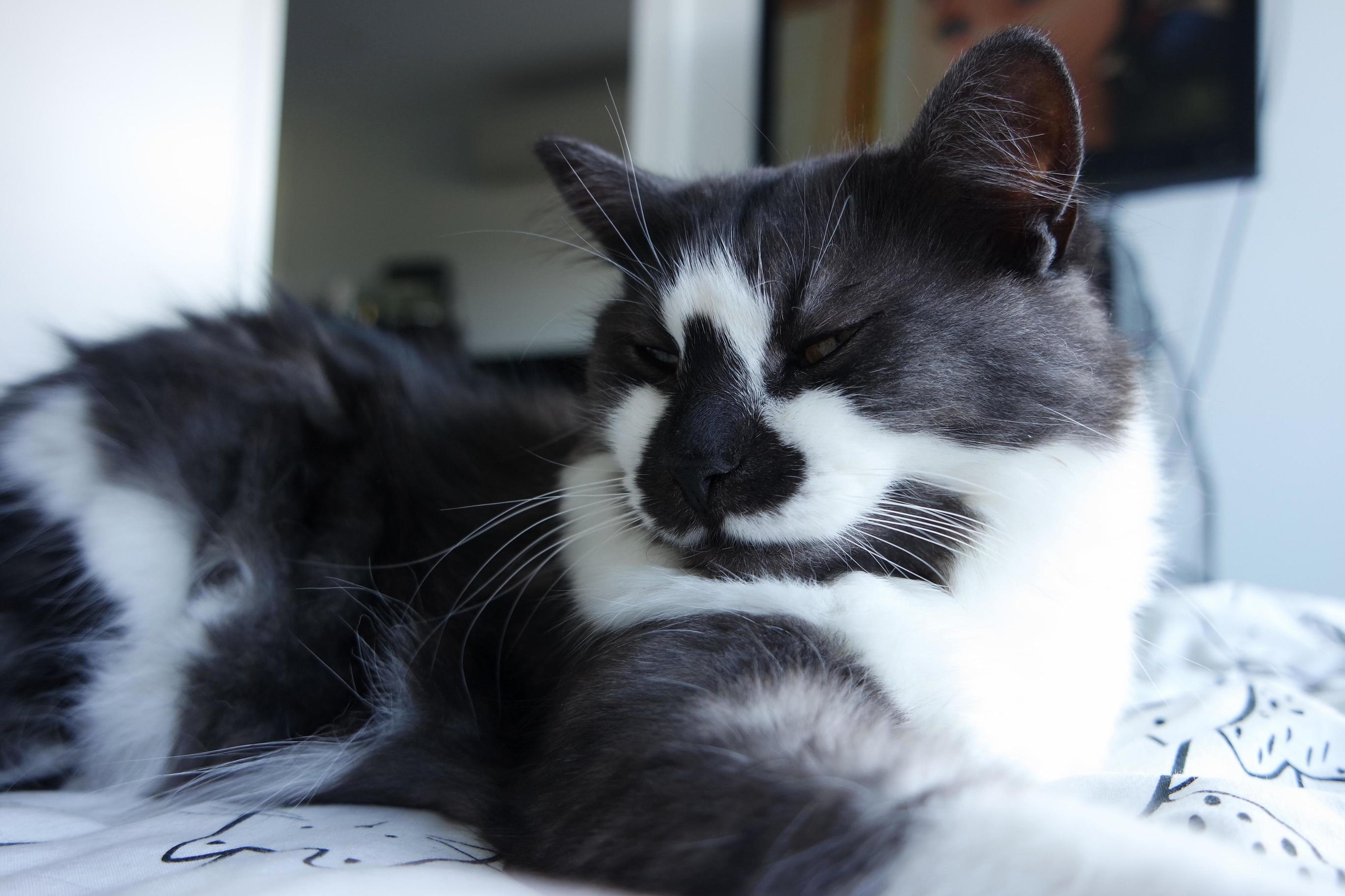 Paint Me Like One of Your French Girls