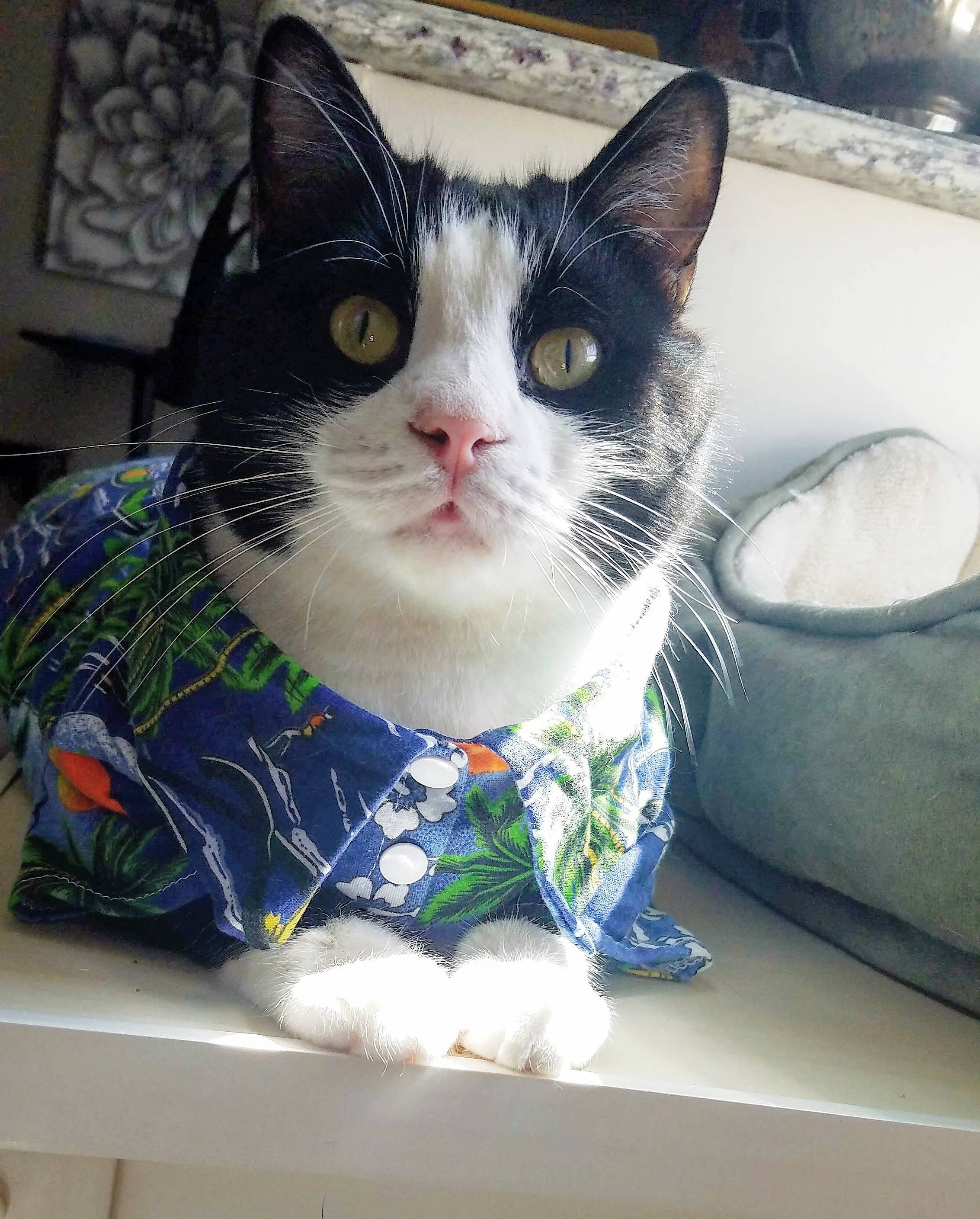 Sammys Ready for Some Sunshine