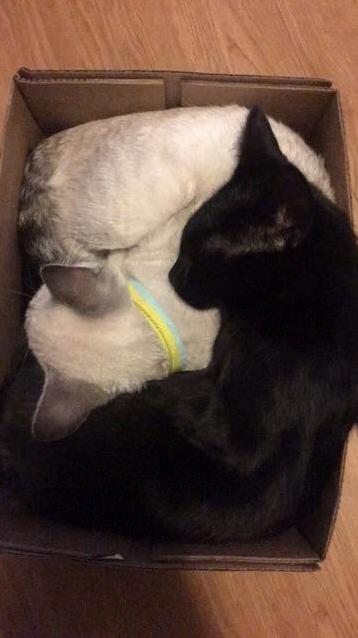 Sharing Is Caring.