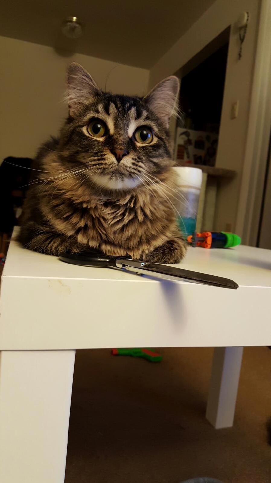 Sometimes I Think She Plots Against Us
