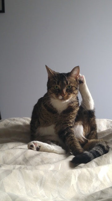 Sometimes I Wake Up to Him Striking a Pose. He Keeps Life Interesting.
