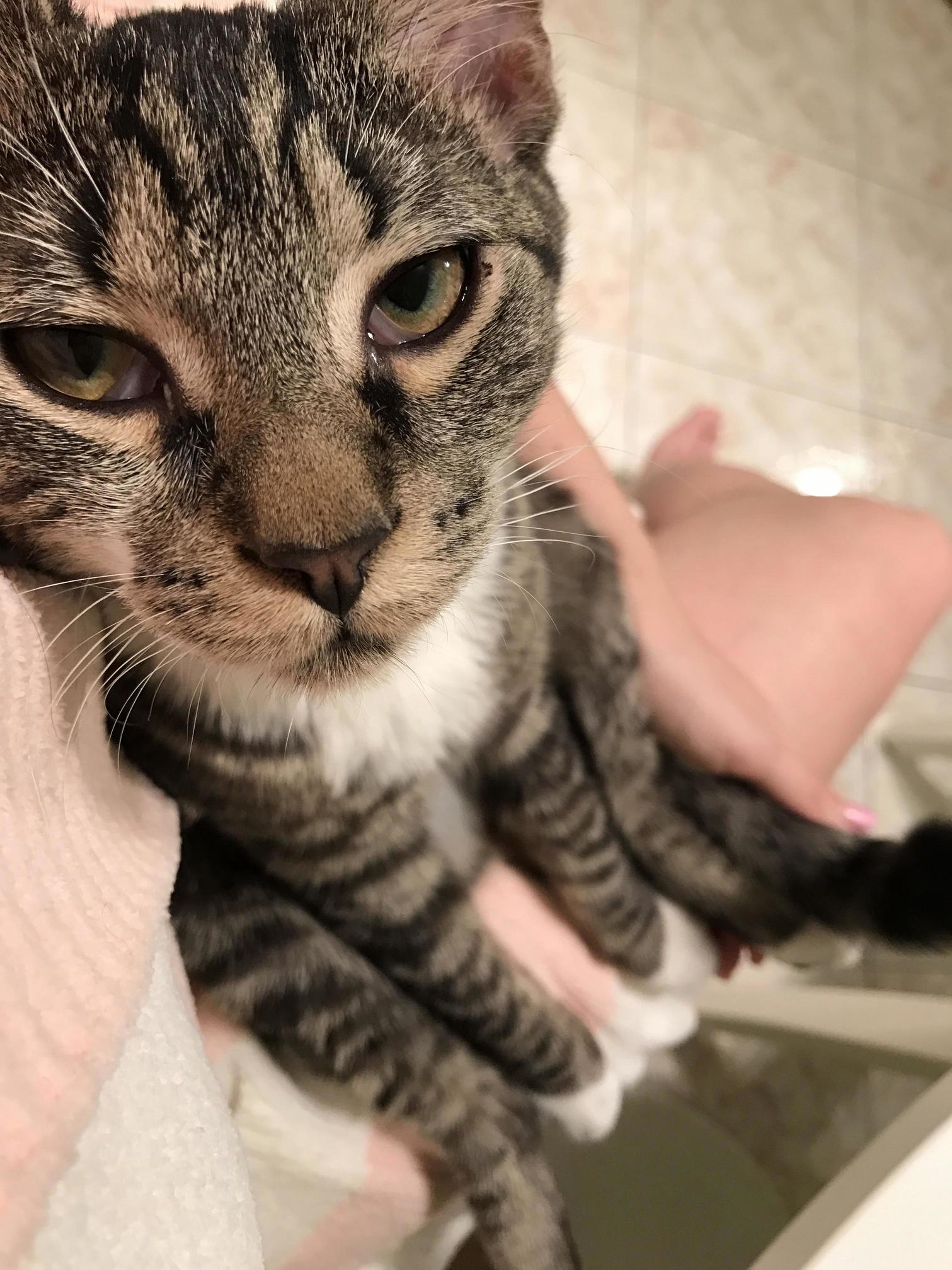 The Face That Says That 5am Is Too Early to Be Awake.