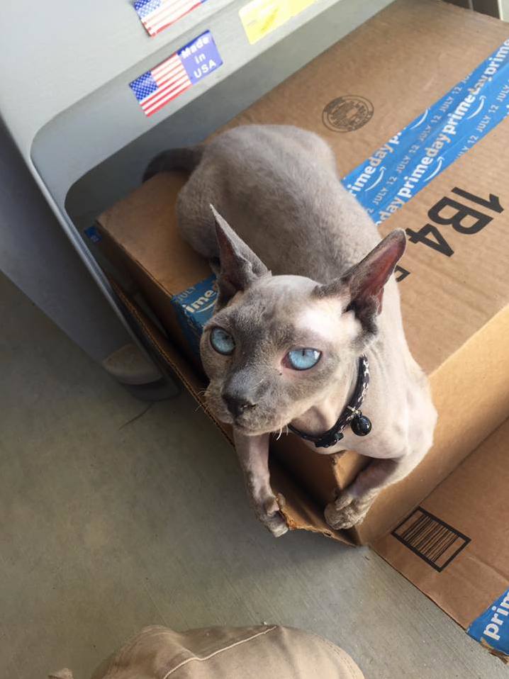 This Is Stewie We Ve Become Bestfriends Since December.
