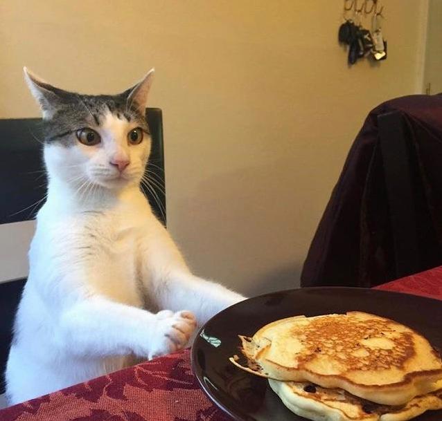 Time for Breakfast