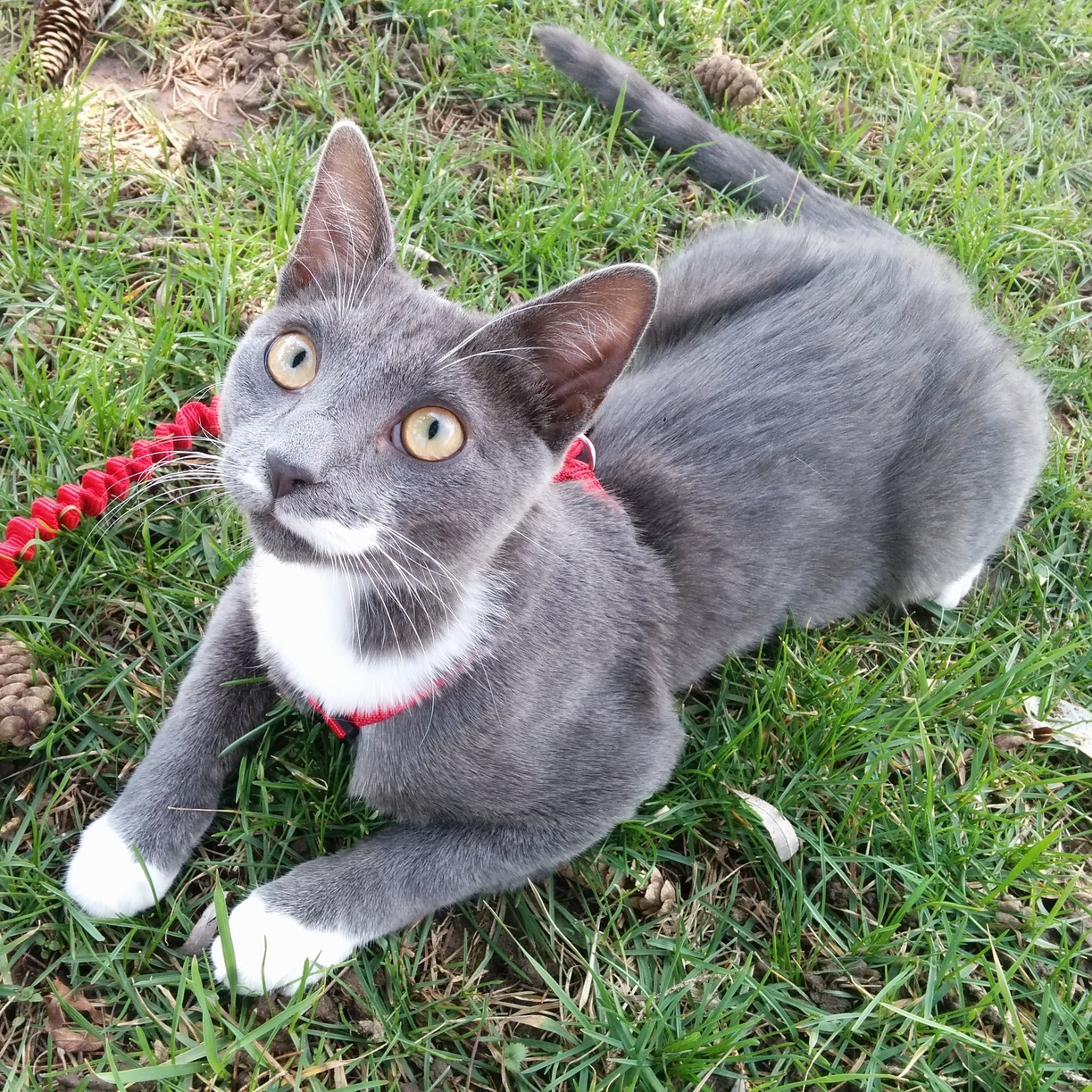 We Had Fun on Our Walk Today