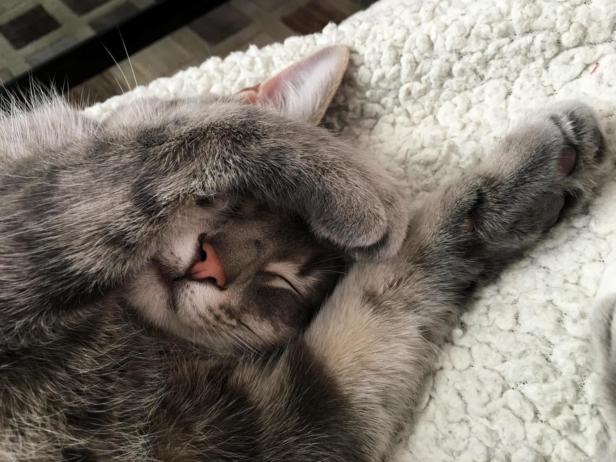 5 More Minutes...