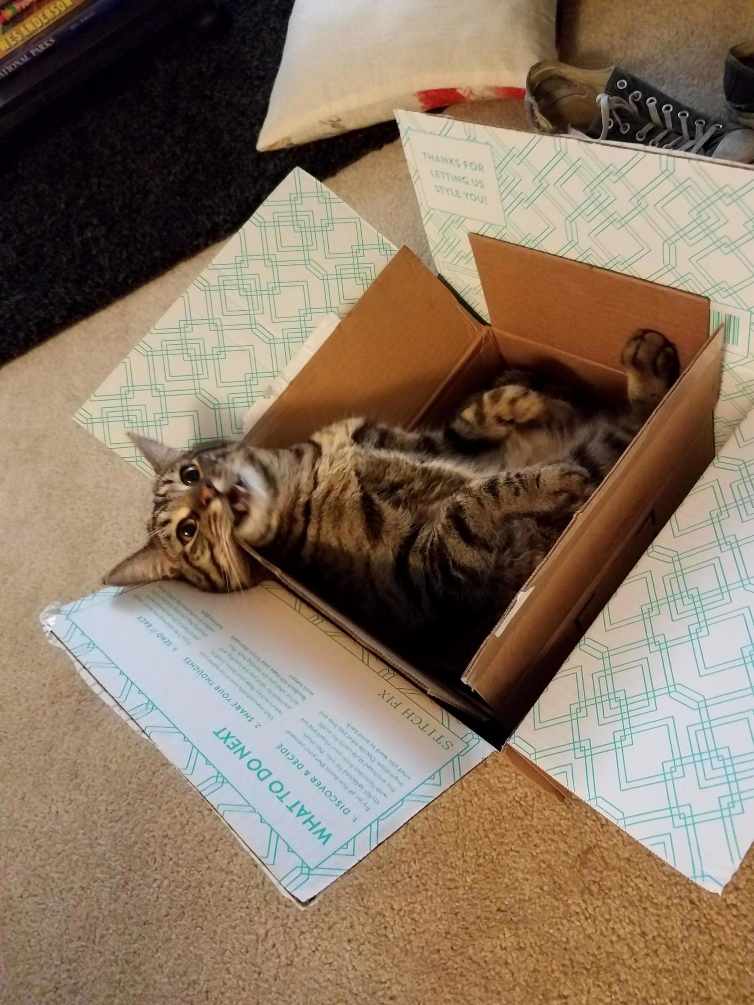 A Box...inside a Box
