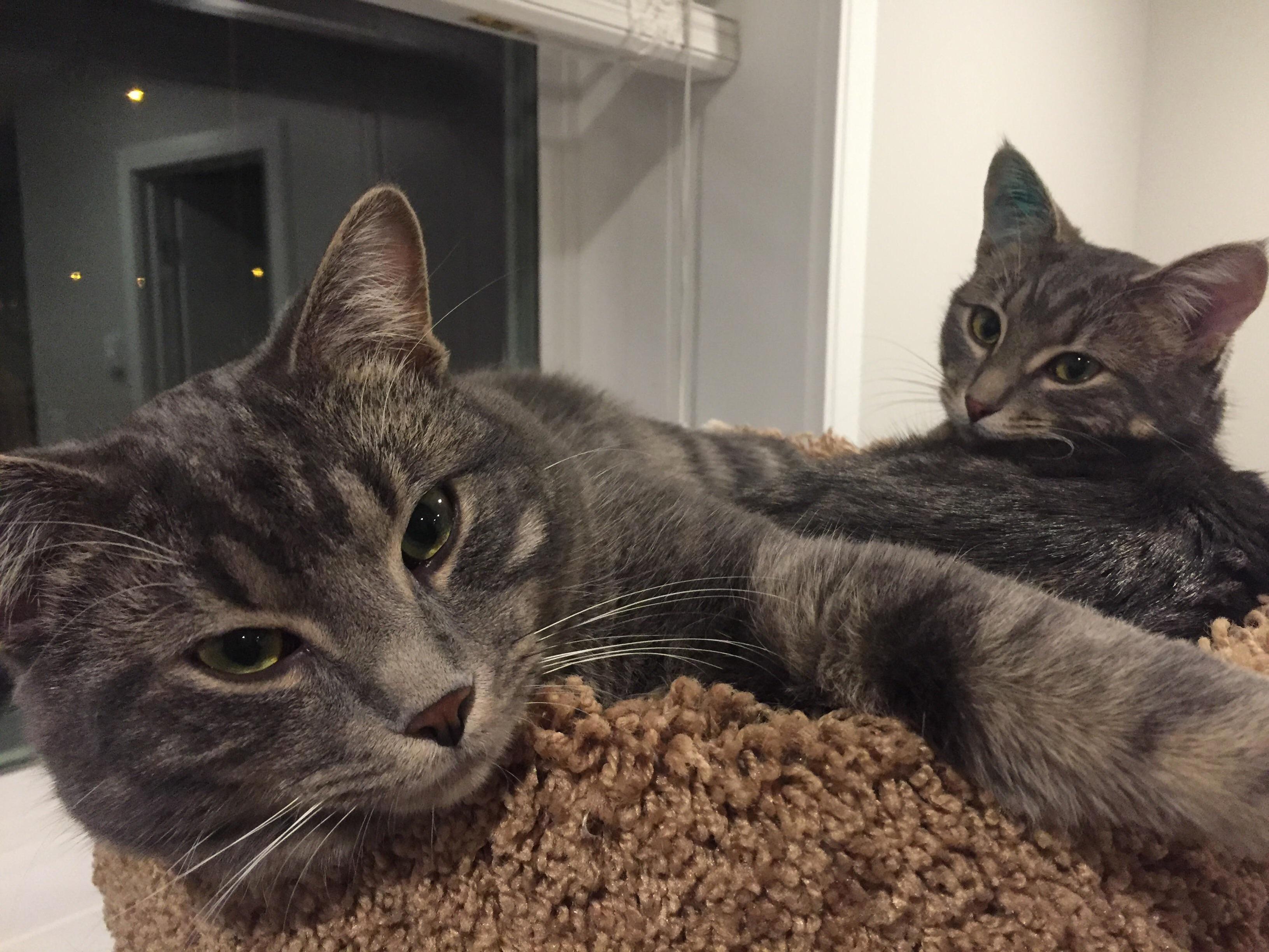 After Their Last Round of Shots. Also Ear Tattoos.