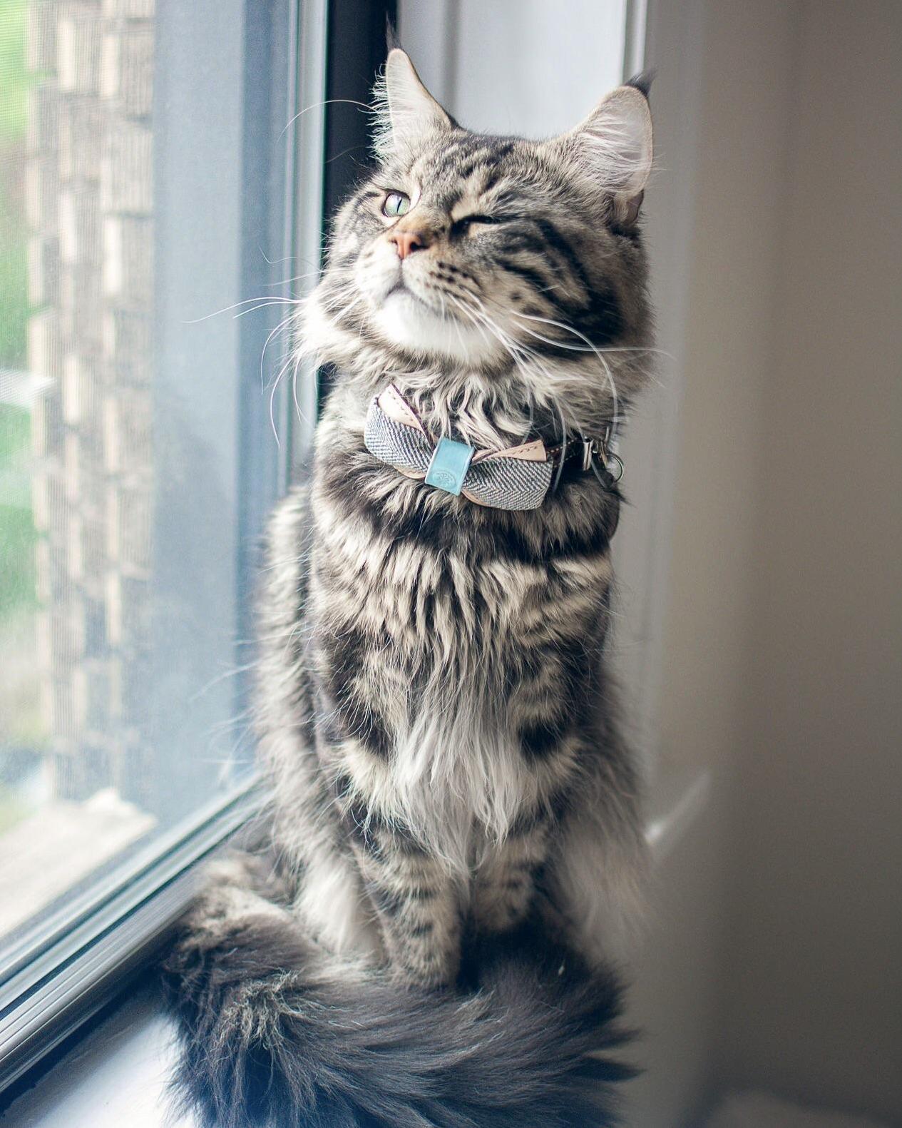 All Dressed Up for a Date