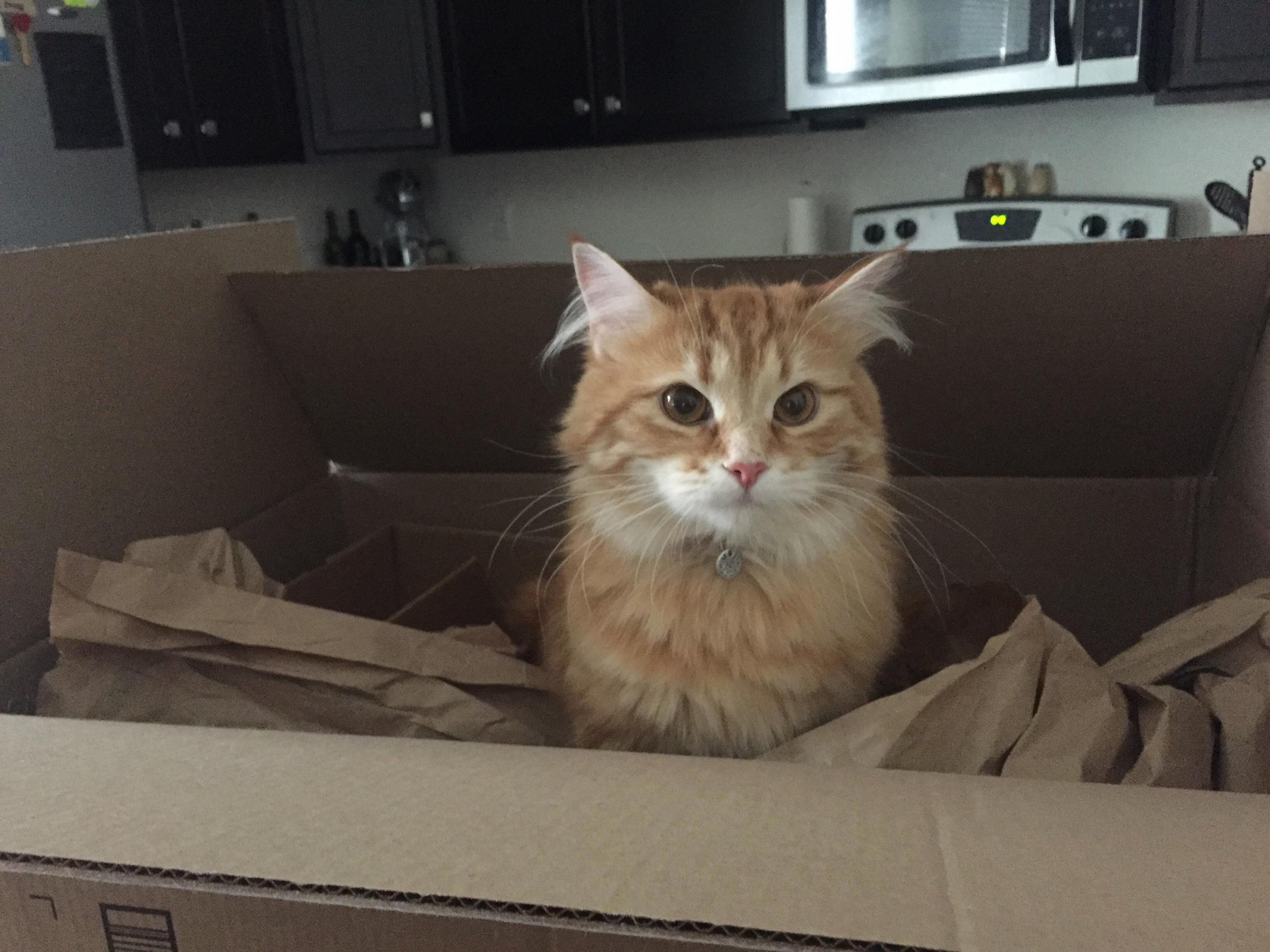 Amazon Days Are the Best Days.