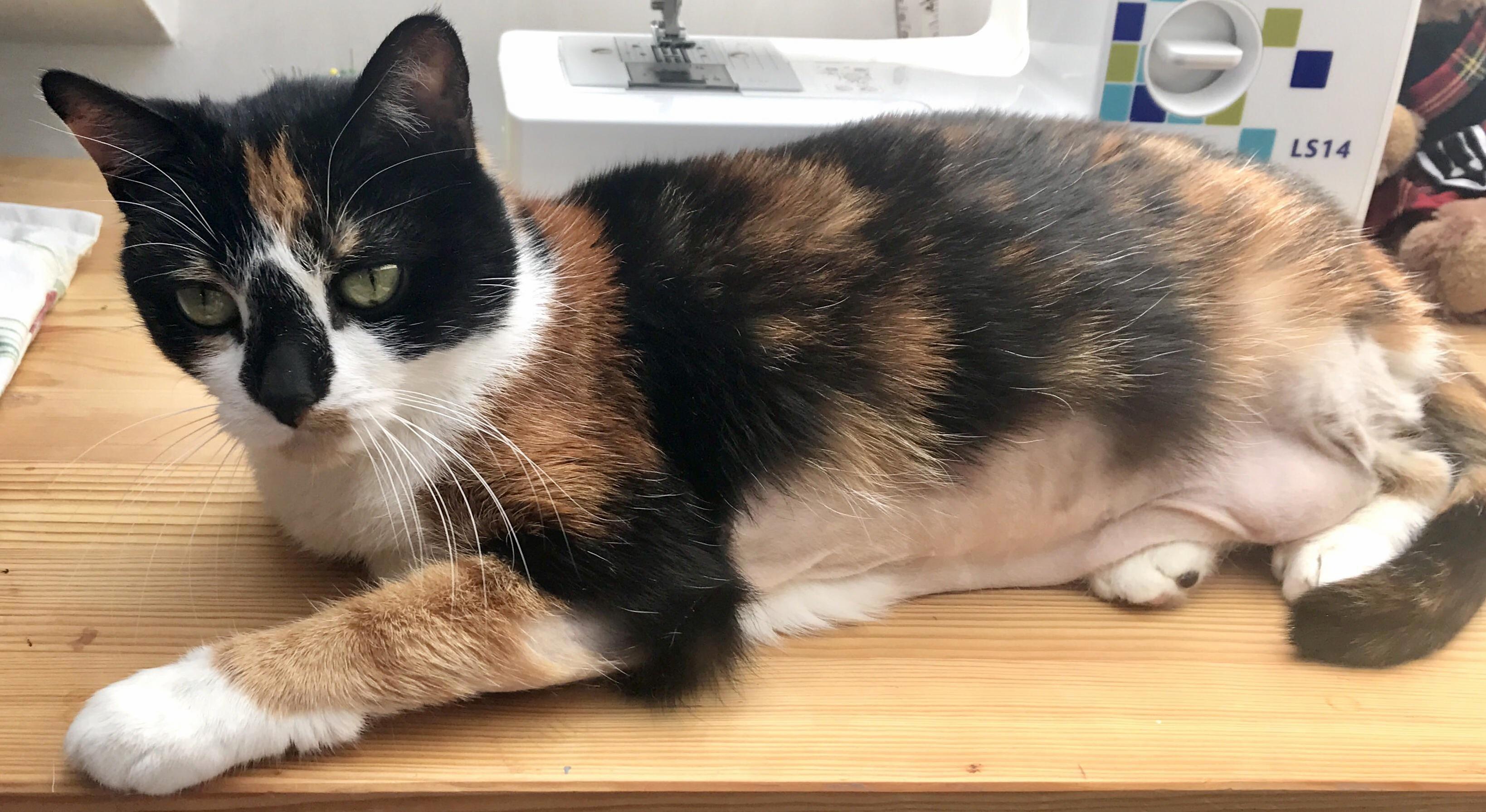 An Unflattering Angle on Her Saggy Belly but She Is Still Beautiful