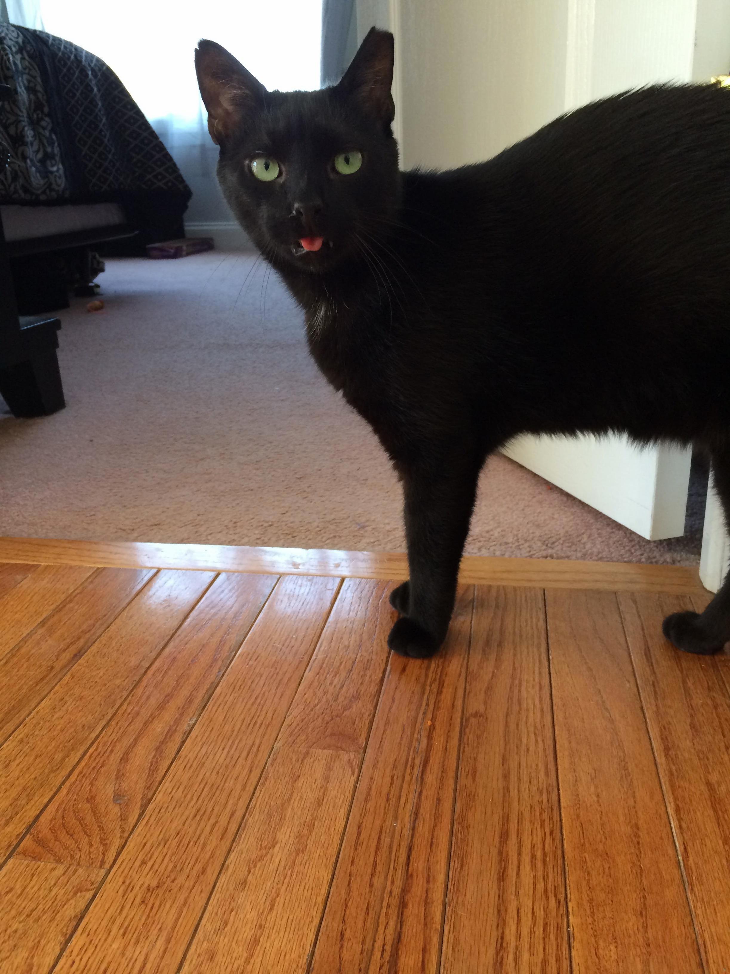 Another Pic of Nelson Being the Handsome Guy He Is