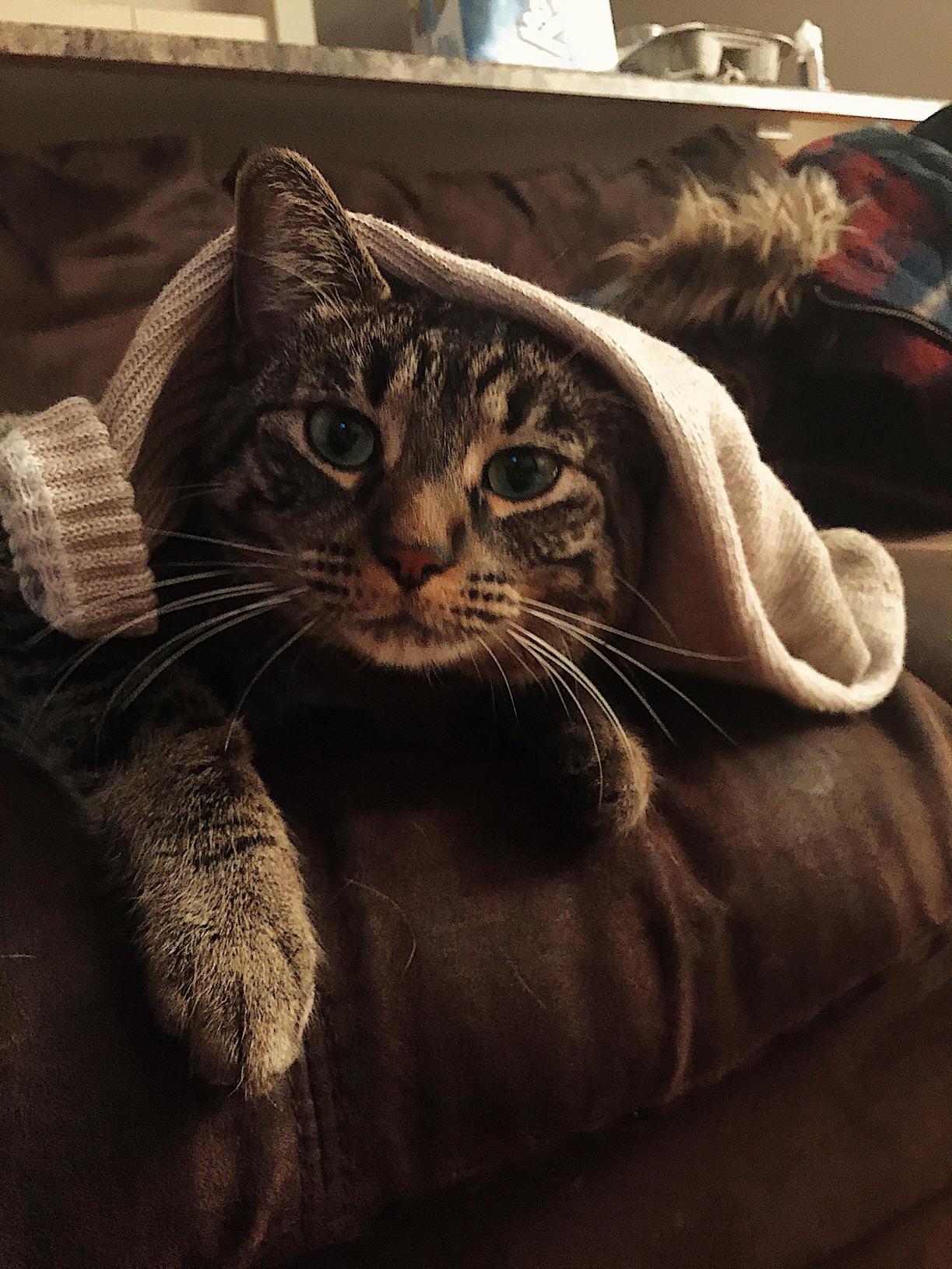 At Least Someone Appreciates My Boyfriends Sticky Socks.