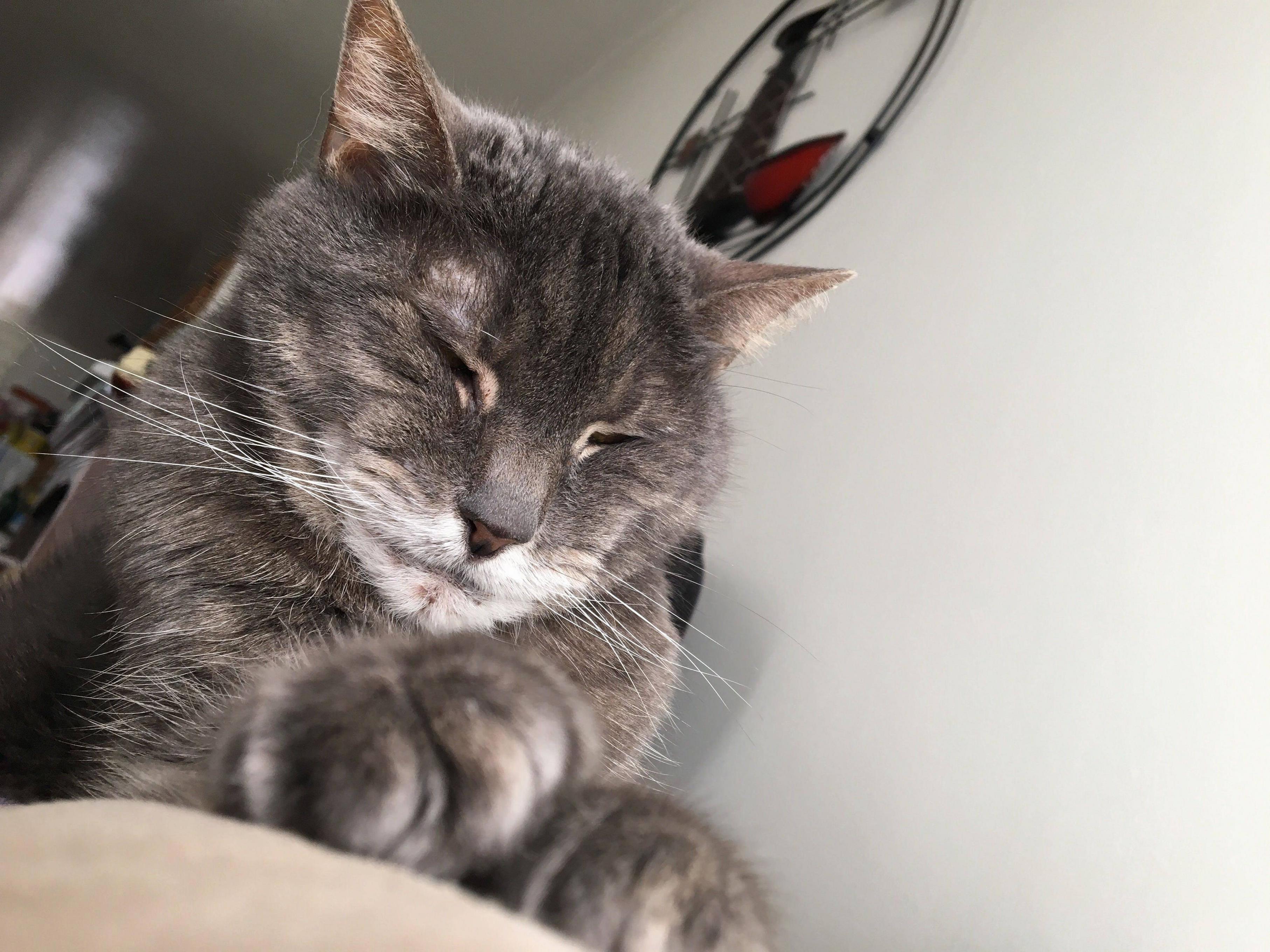 Beautiful Misty on a Sleepy Day