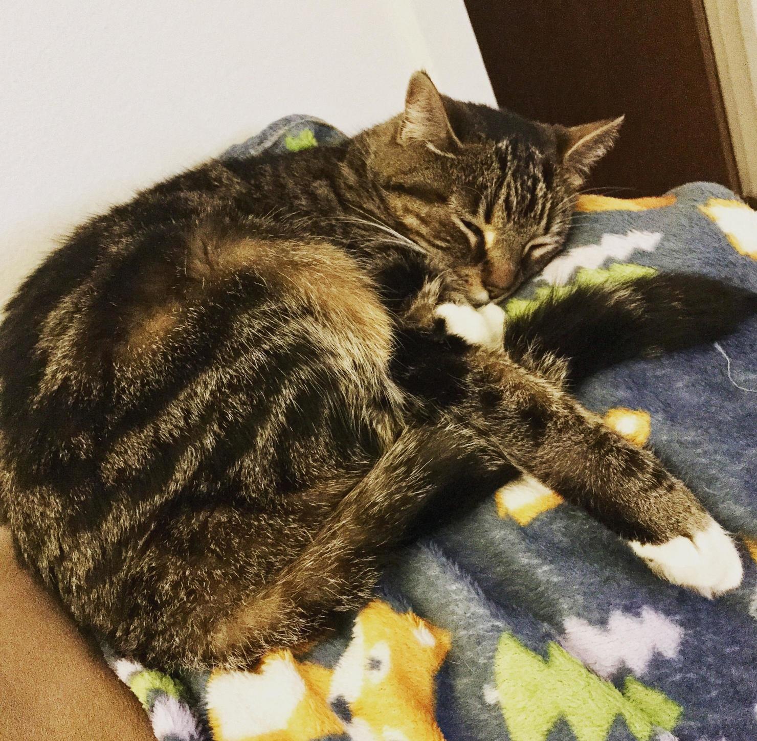 Being Beautiful Is Exhausting. (1)