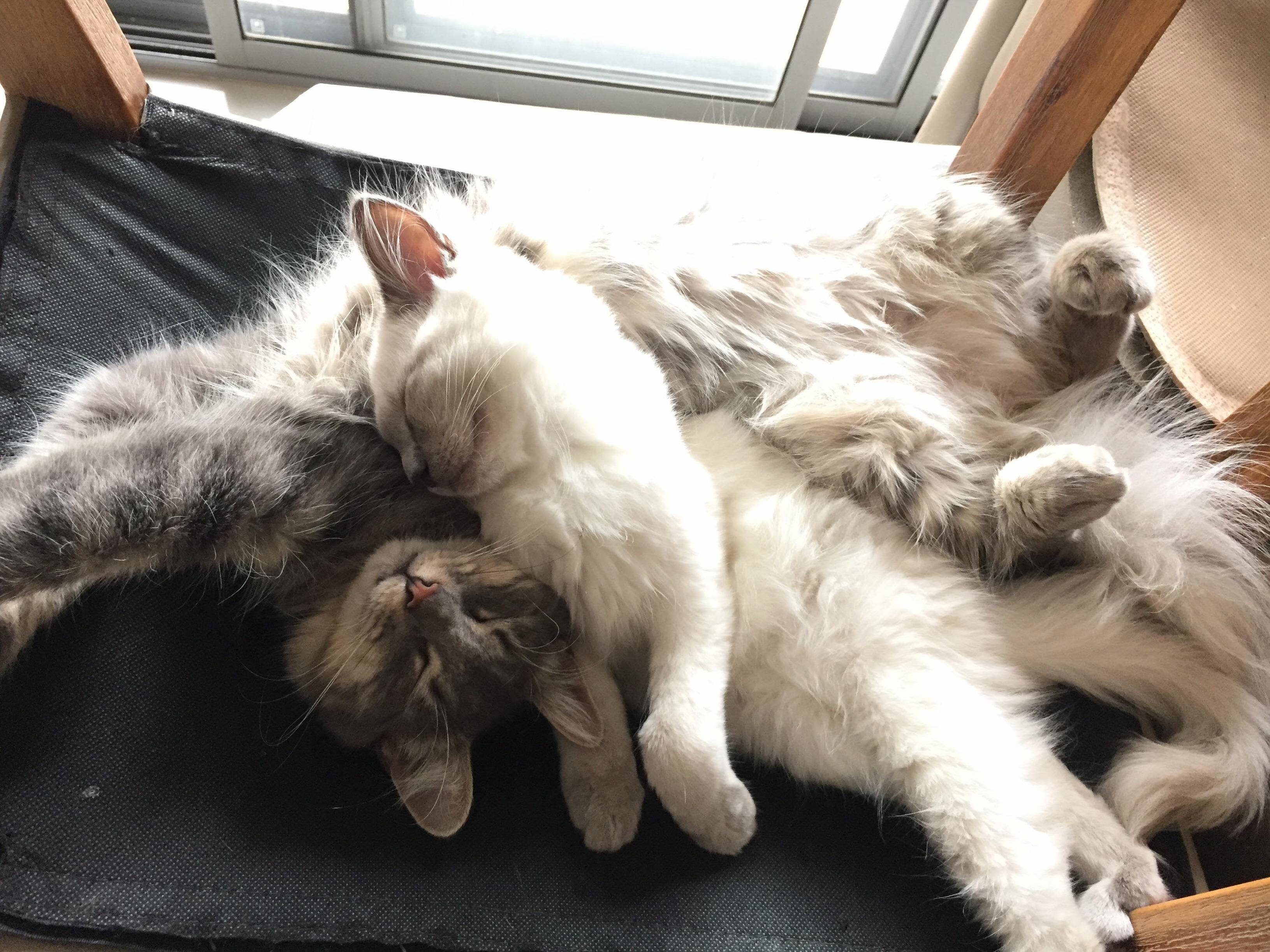 Best Friends