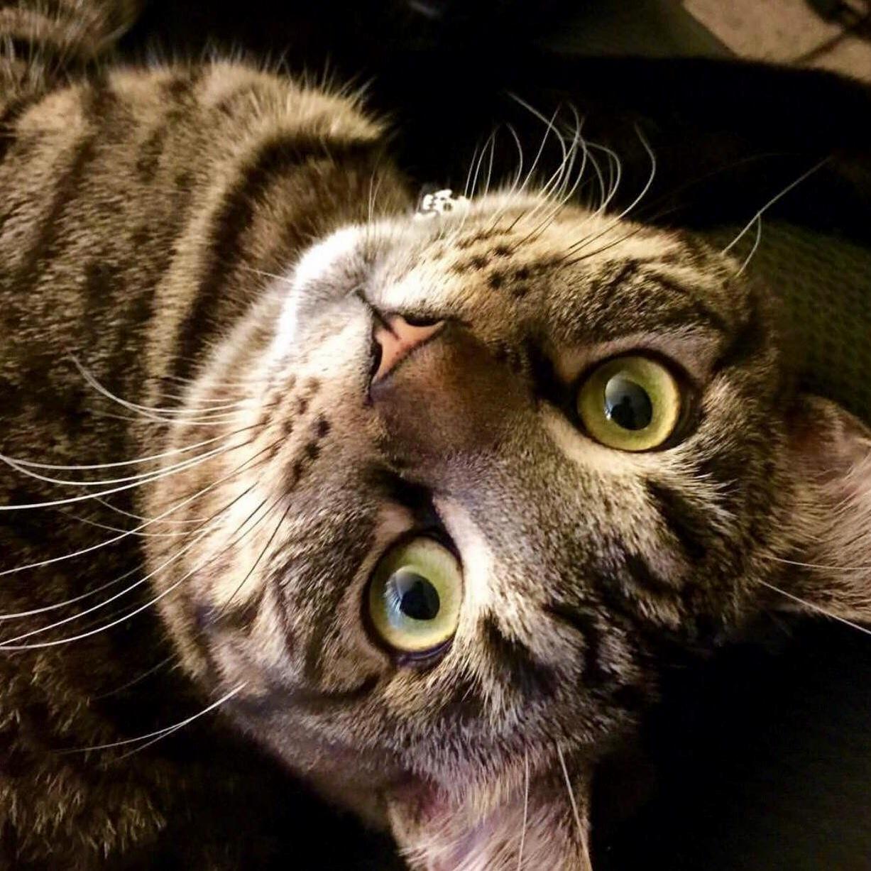 Best Picture We Have of Our Baby Jax