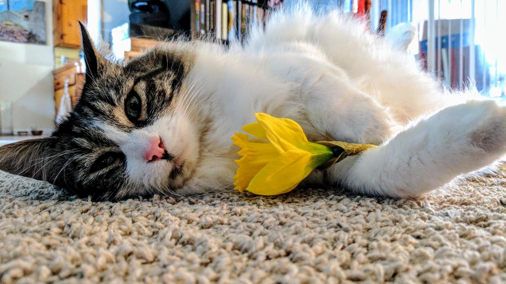 Billy Is Ready to Welcome Spring Steal Your Woman.