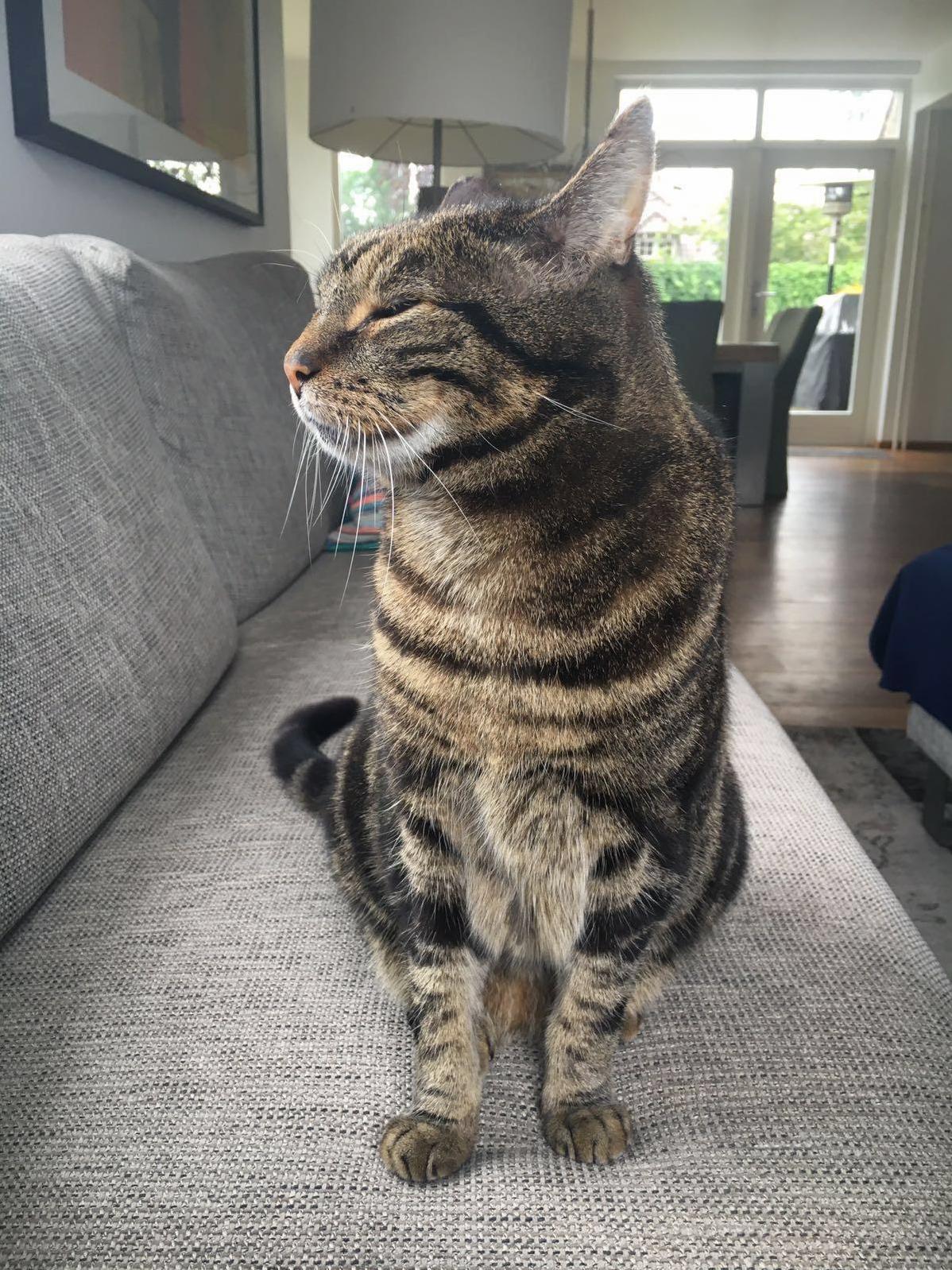 Bink 6th of April 2002- 27th of March 2017