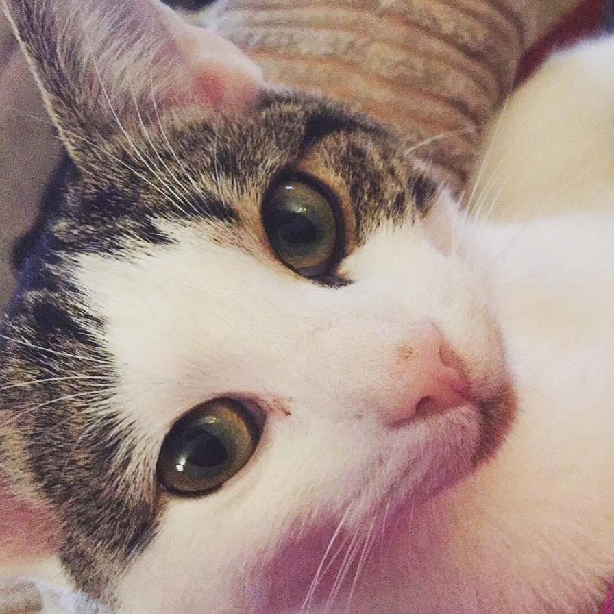 Birthday Girl Happy 1st Birthday Belle