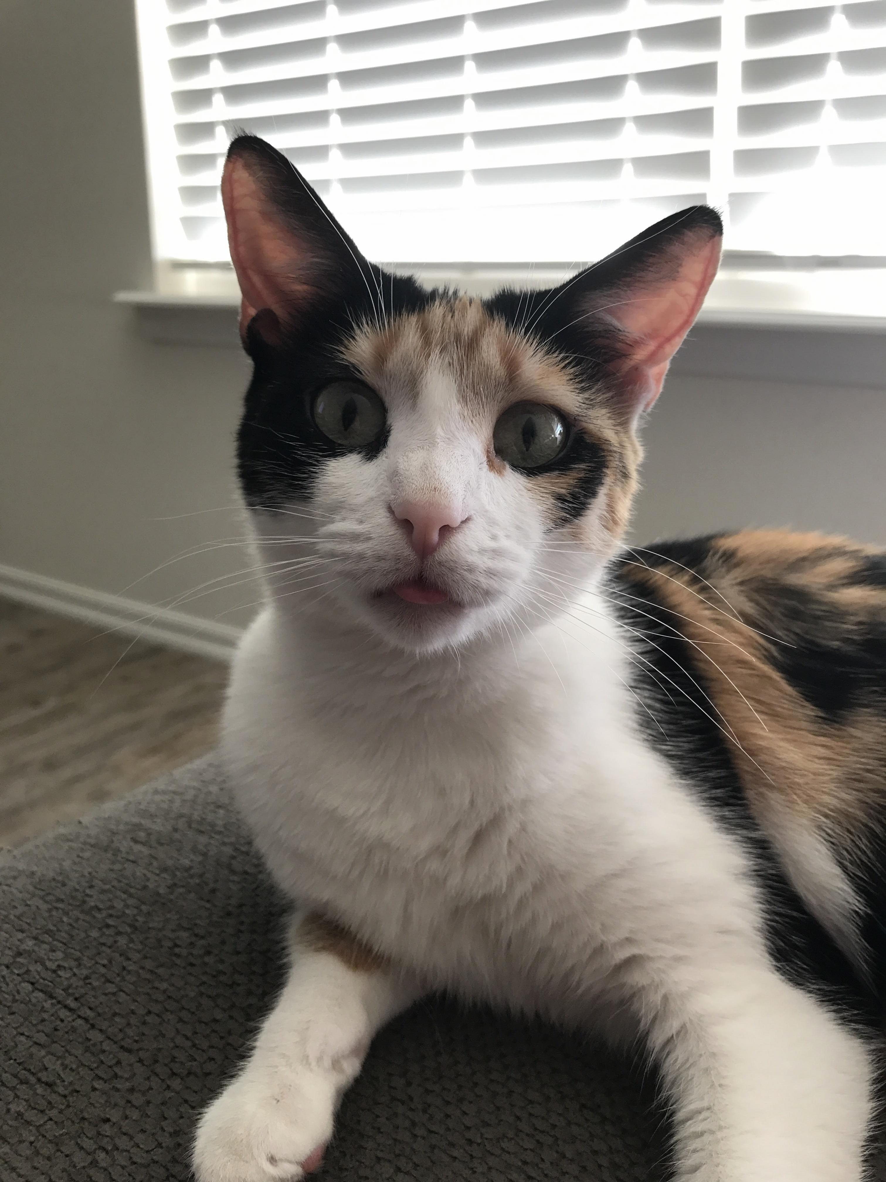 Blep